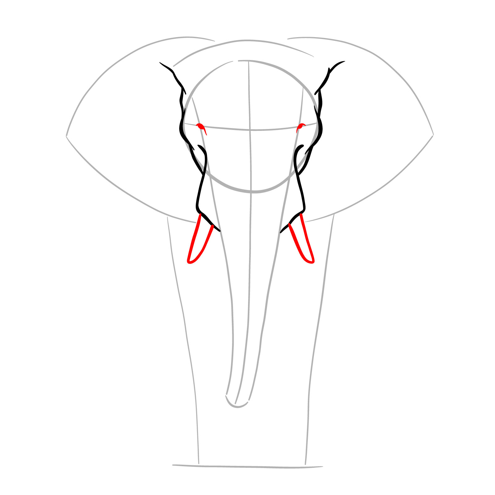 Outlined tusks and small eyes added to elephant full body front view drawing - step 05