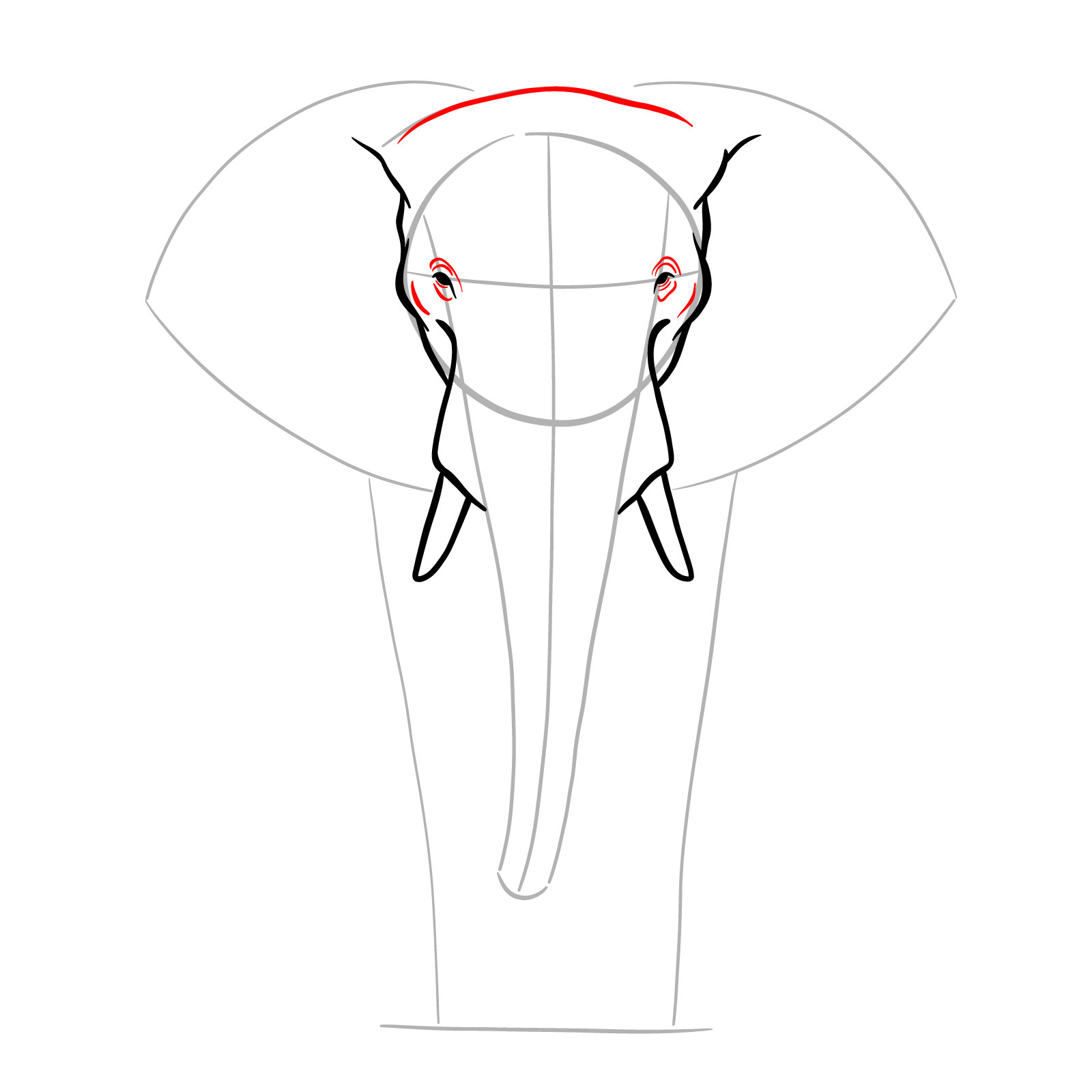 Details around the eyes and top of the head in elephant full body drawing - step 06