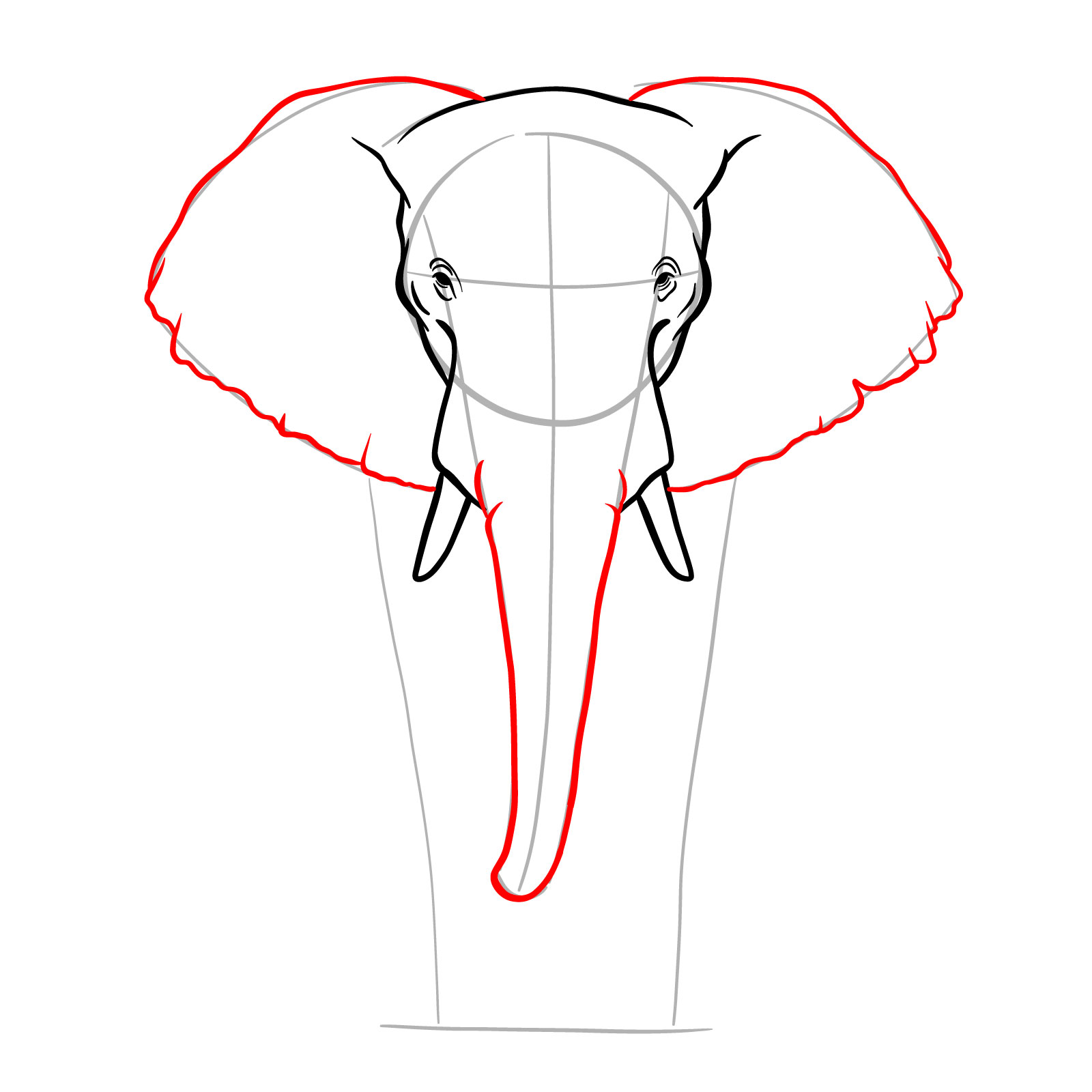 Outlined ears and trunk in full body drawing of an elephant - step 07