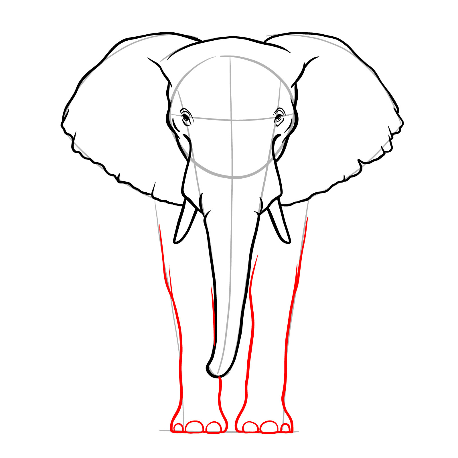 Front legs sketched in elephant full body front view drawing - step 08