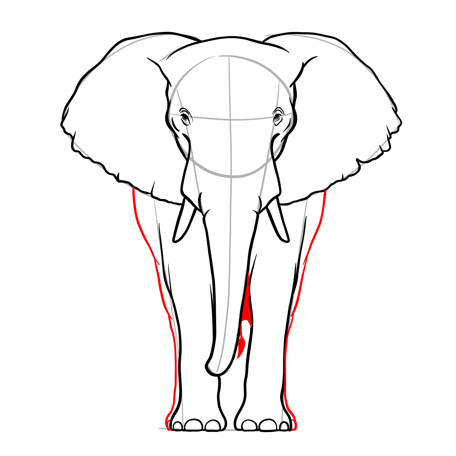 Sides of the body, rear legs, and shaded parts in elephant full body front view drawing - step 09