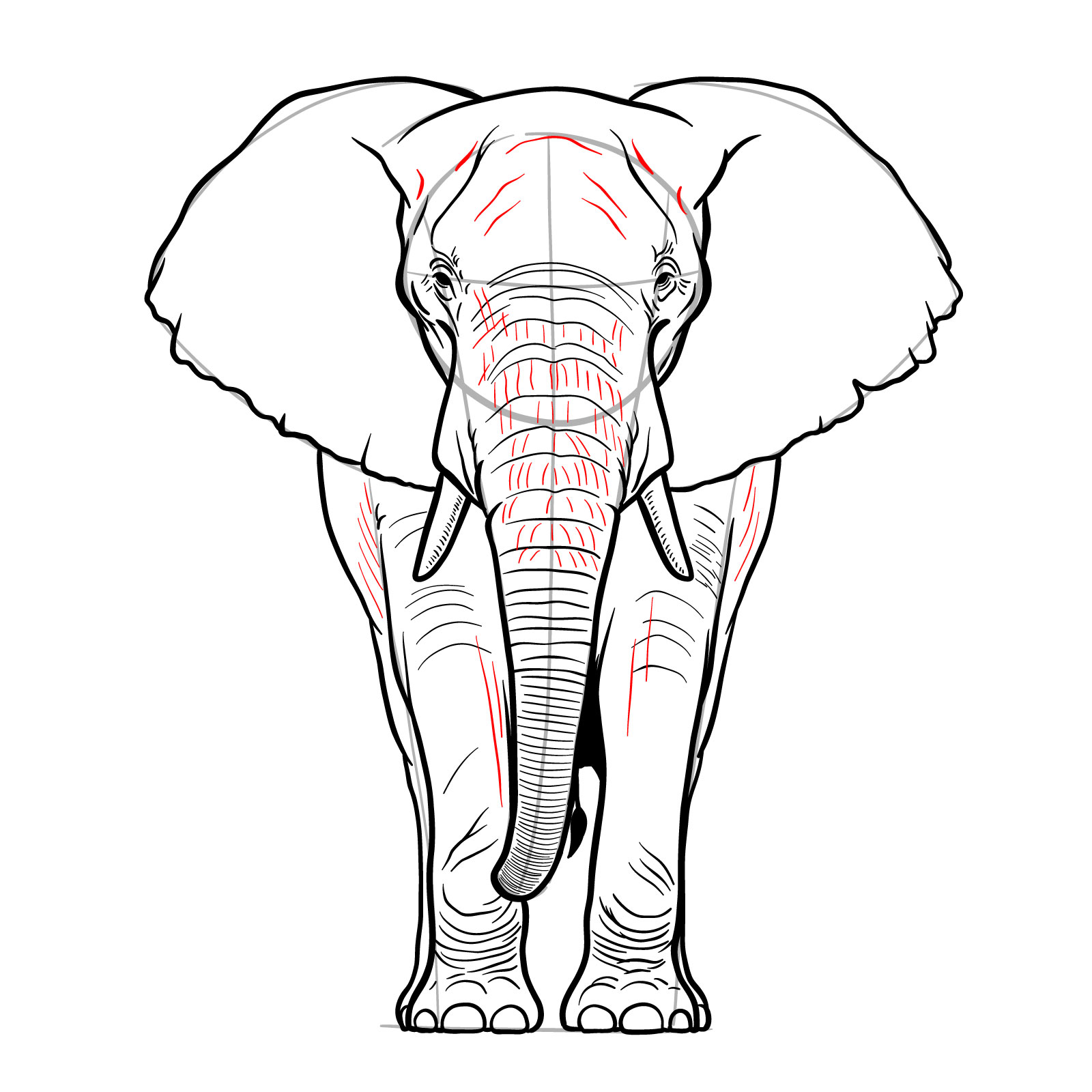 Texture details added to the head, body, and legs in the elephant full body drawing - step 12