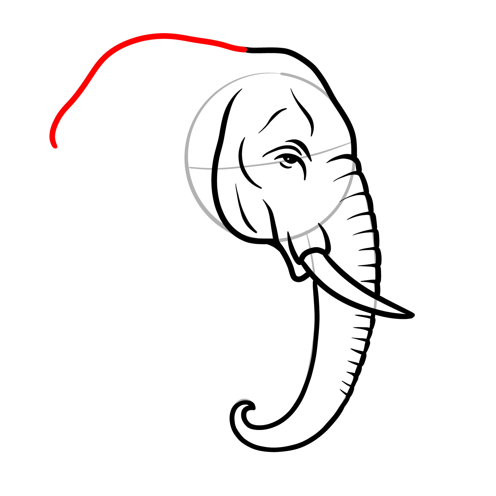 How to draw an elephant's head side view, step 9, starting the ear from the head and forehead line