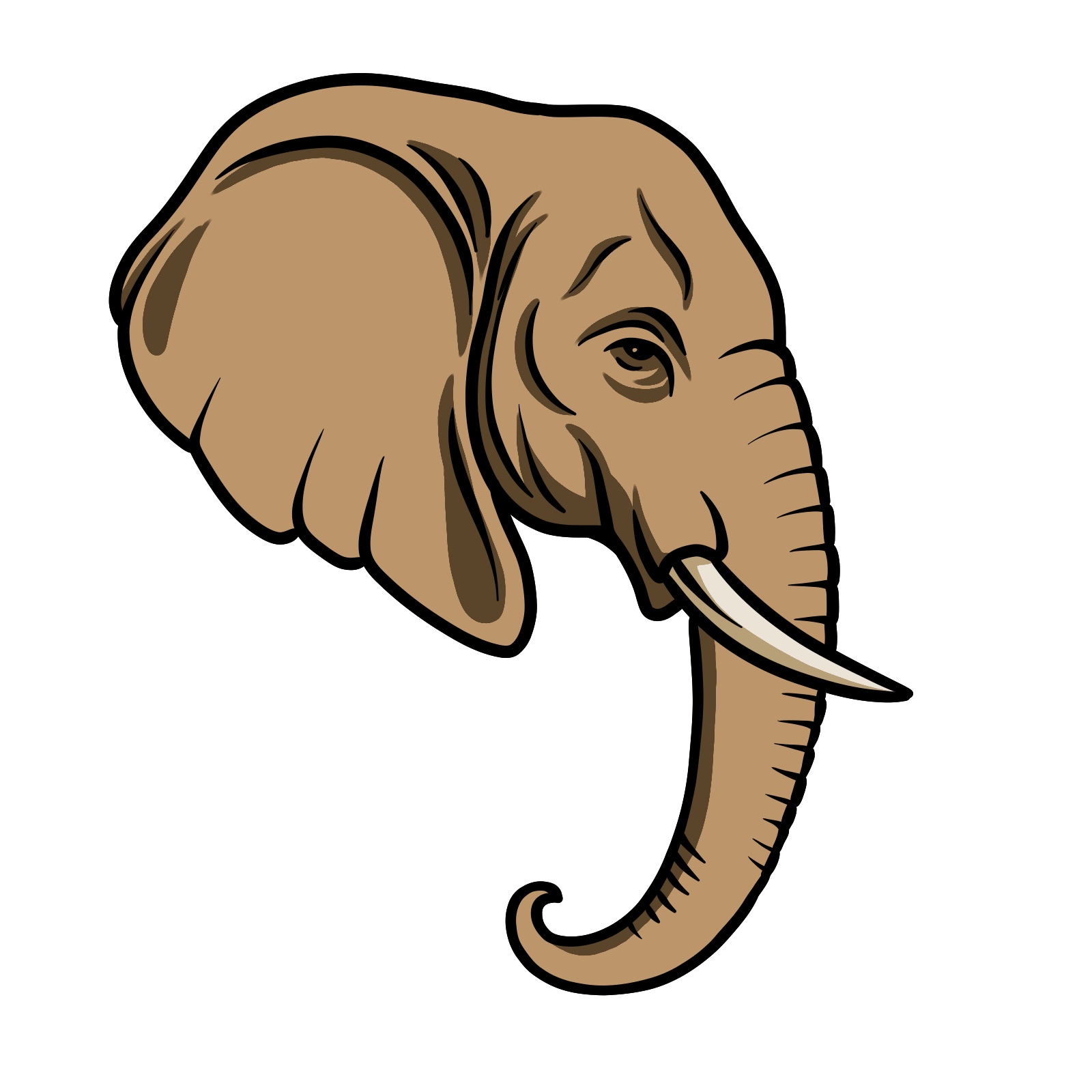 How to draw an elephant's head side view, step 13, finishing touches and coloring options