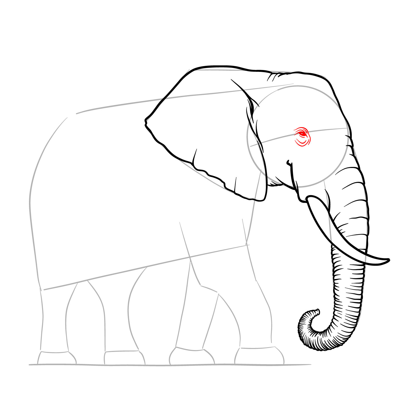 How to draw an elephant full height side view, step 8, adding the eye and surrounding texture