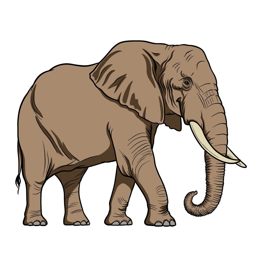 Learn How to Draw an Elephant in Side Profile Easily