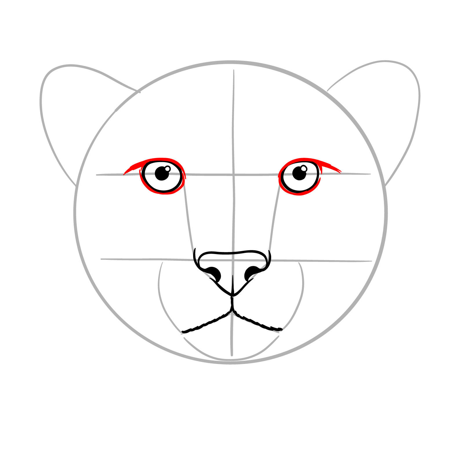 How to Draw a Cheetah Face - step 06