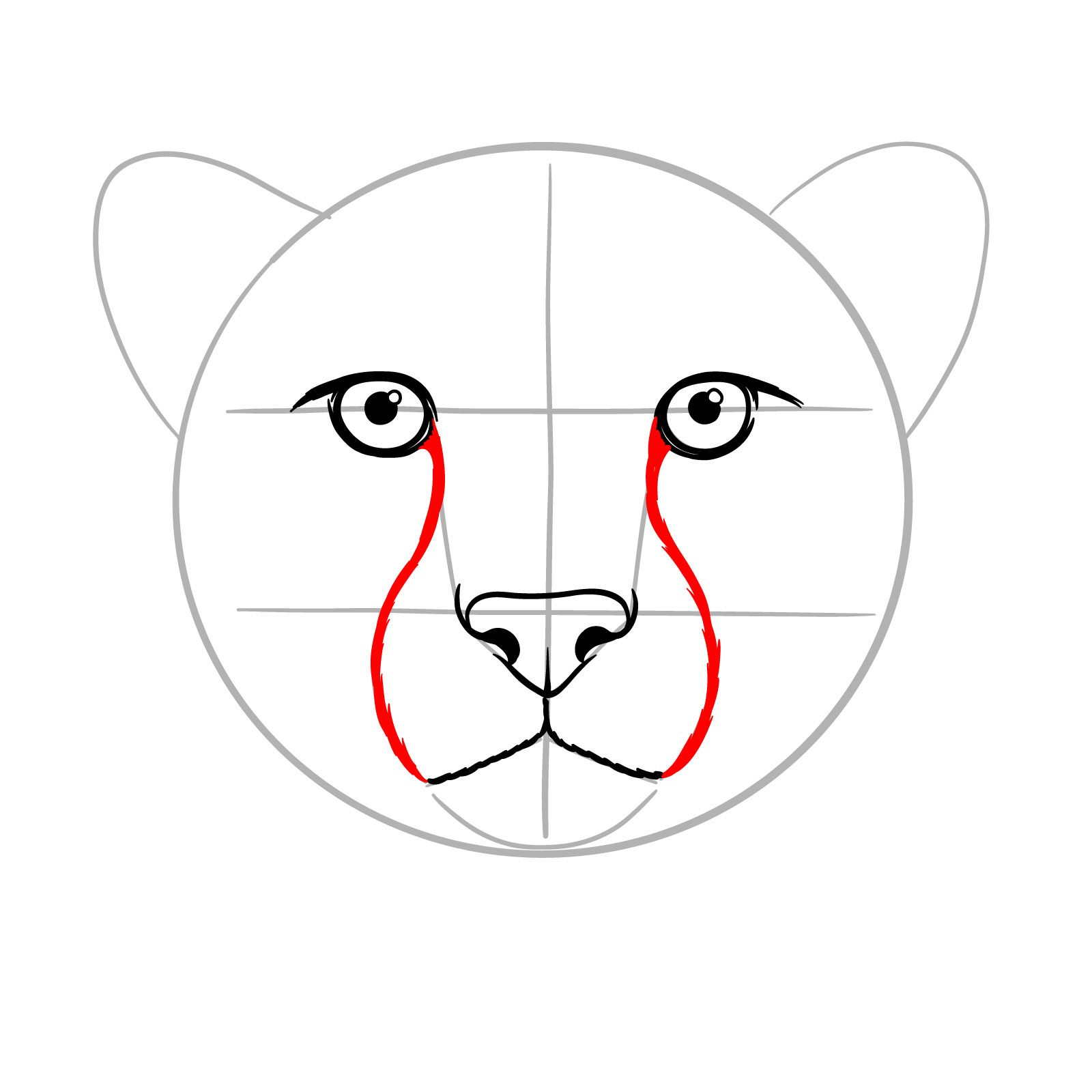 How to Draw a Cheetah Face - step 07