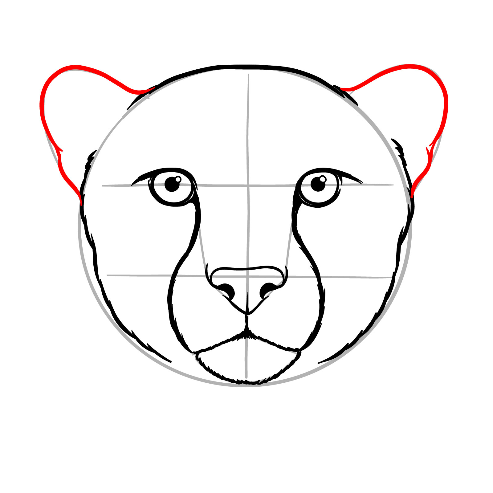 How to Draw a Cheetah Face - step 10