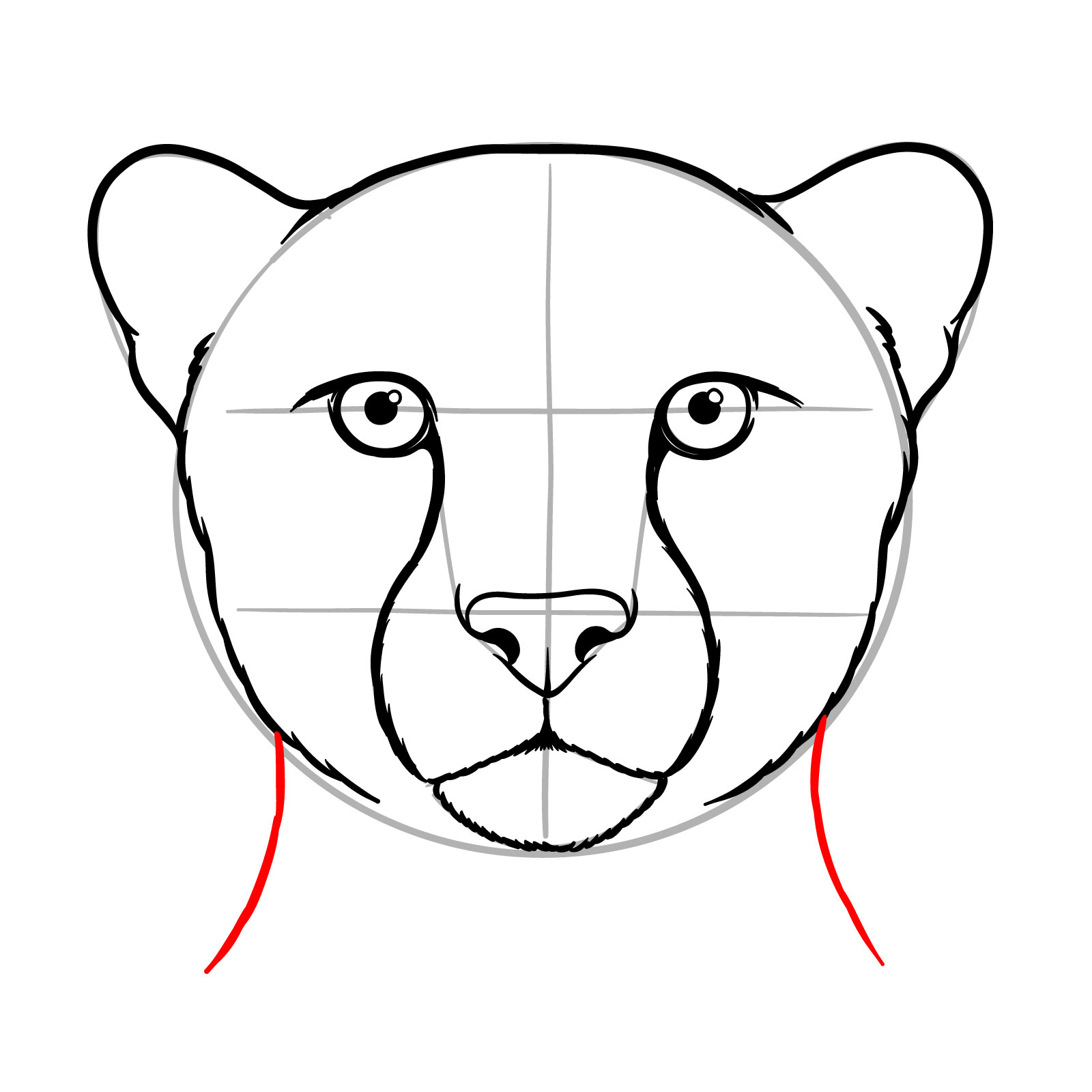 How to Draw a Cheetah Face - step 11