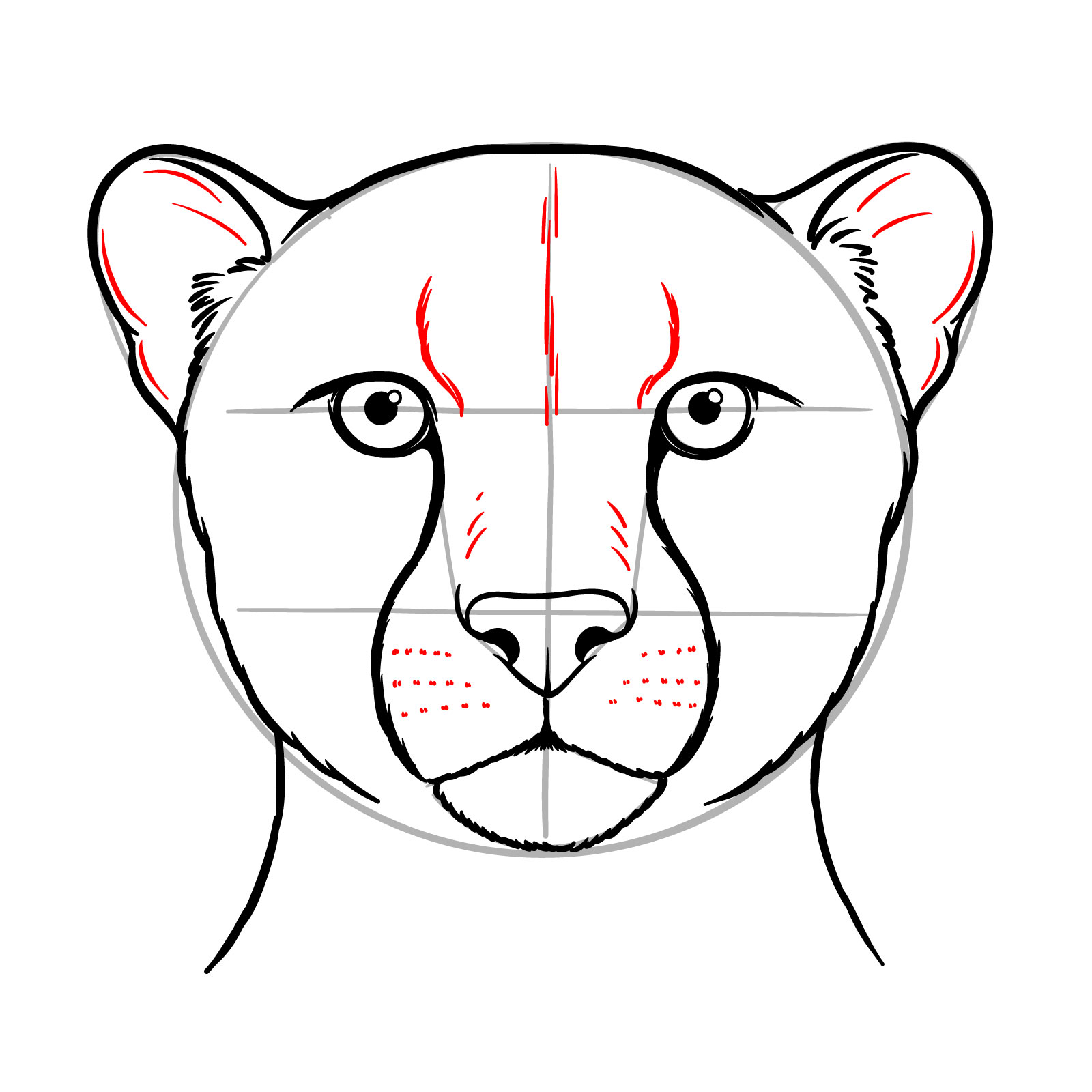 How to Draw a Cheetah Face - step 13