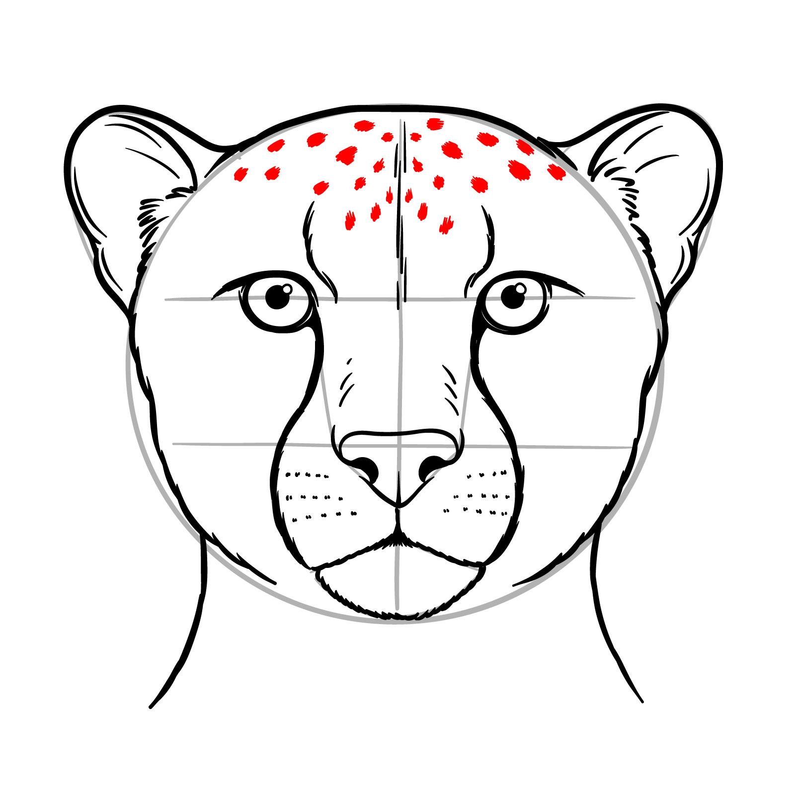 How to Draw a Cheetah Face - step 14