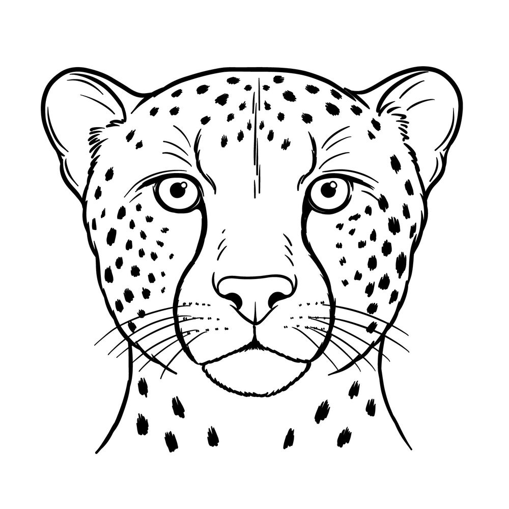 How to Draw a Cheetah Face Looking Straight Ahead