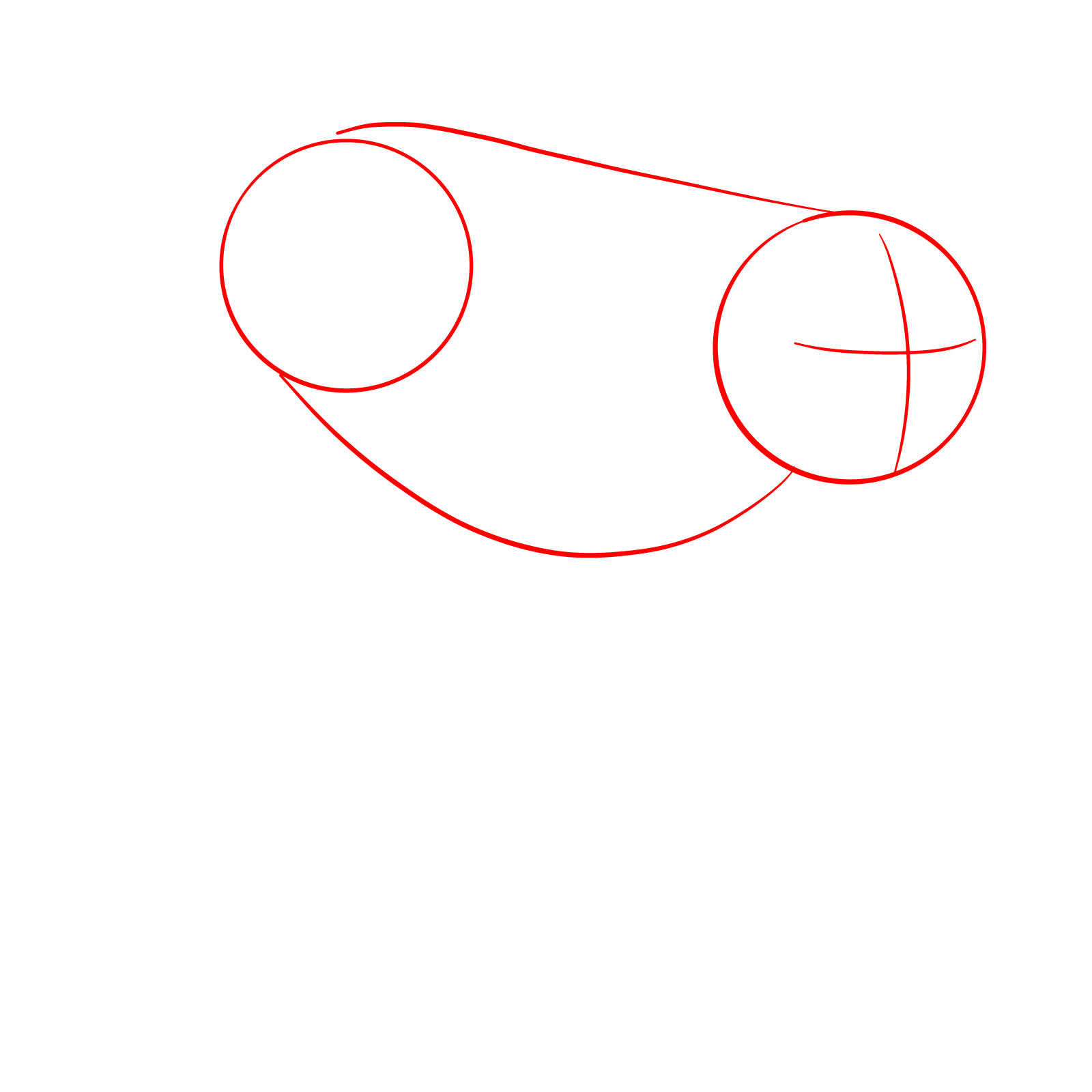 How to Draw a Cougar in 3/4 Walking Pose - step 01