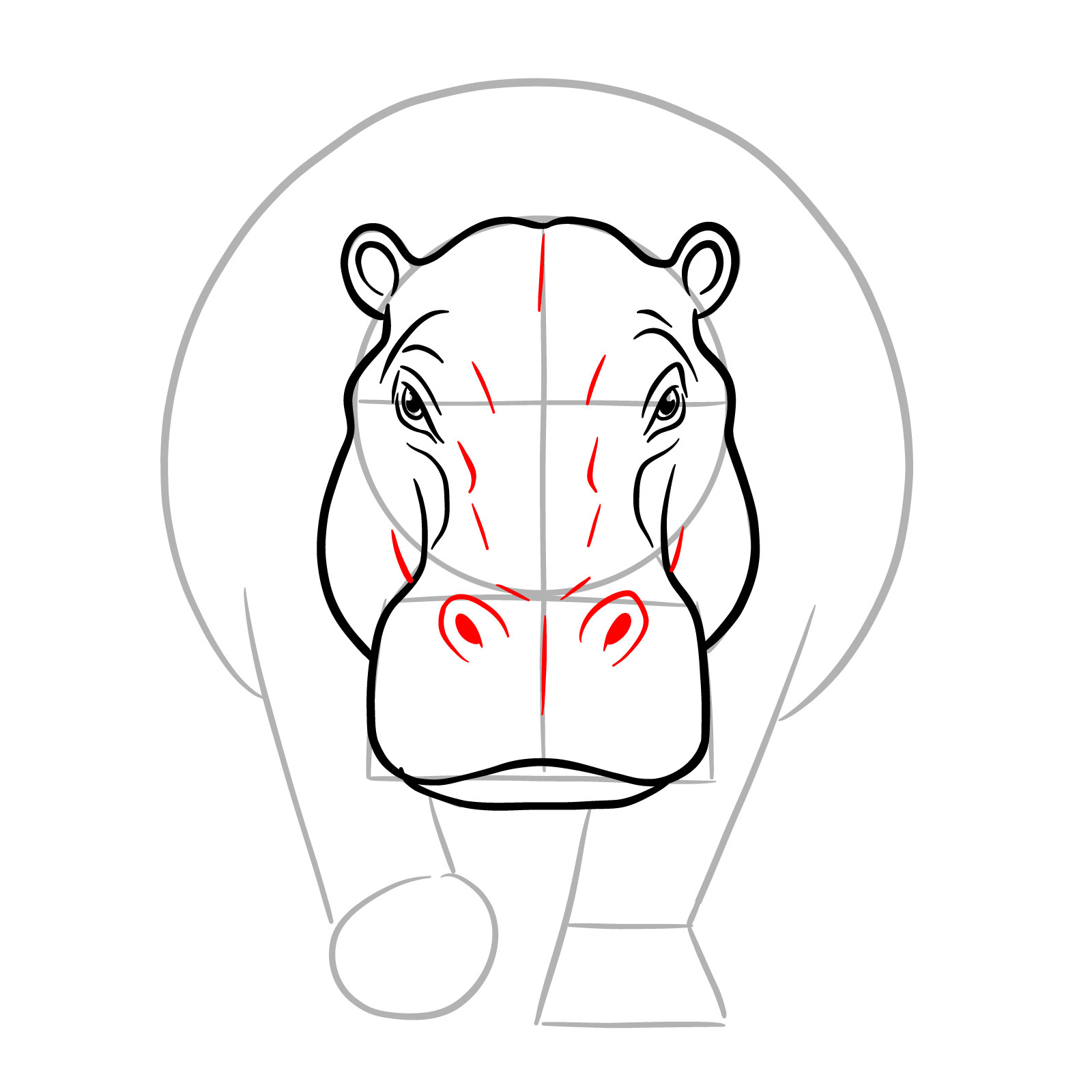How to Draw a Hippo Full Body Front View - step 10