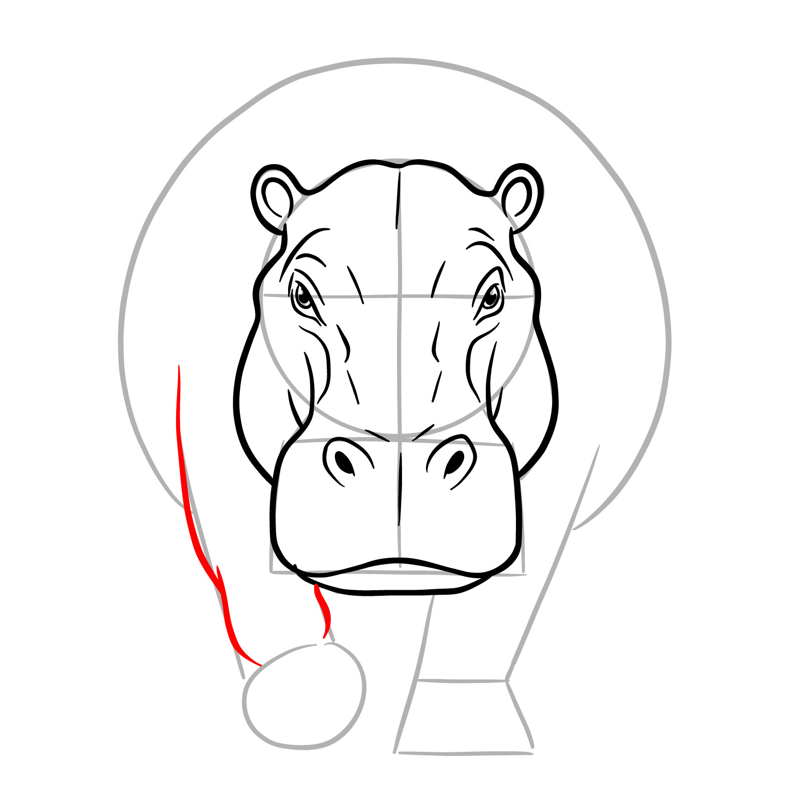 How to Draw a Hippo Full Body Front View - step 11