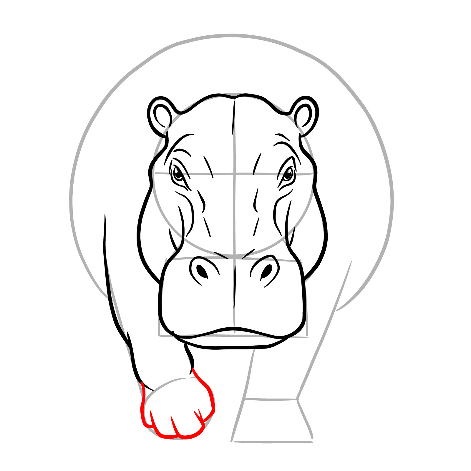 How to Draw a Hippo Full Body Front View - step 12
