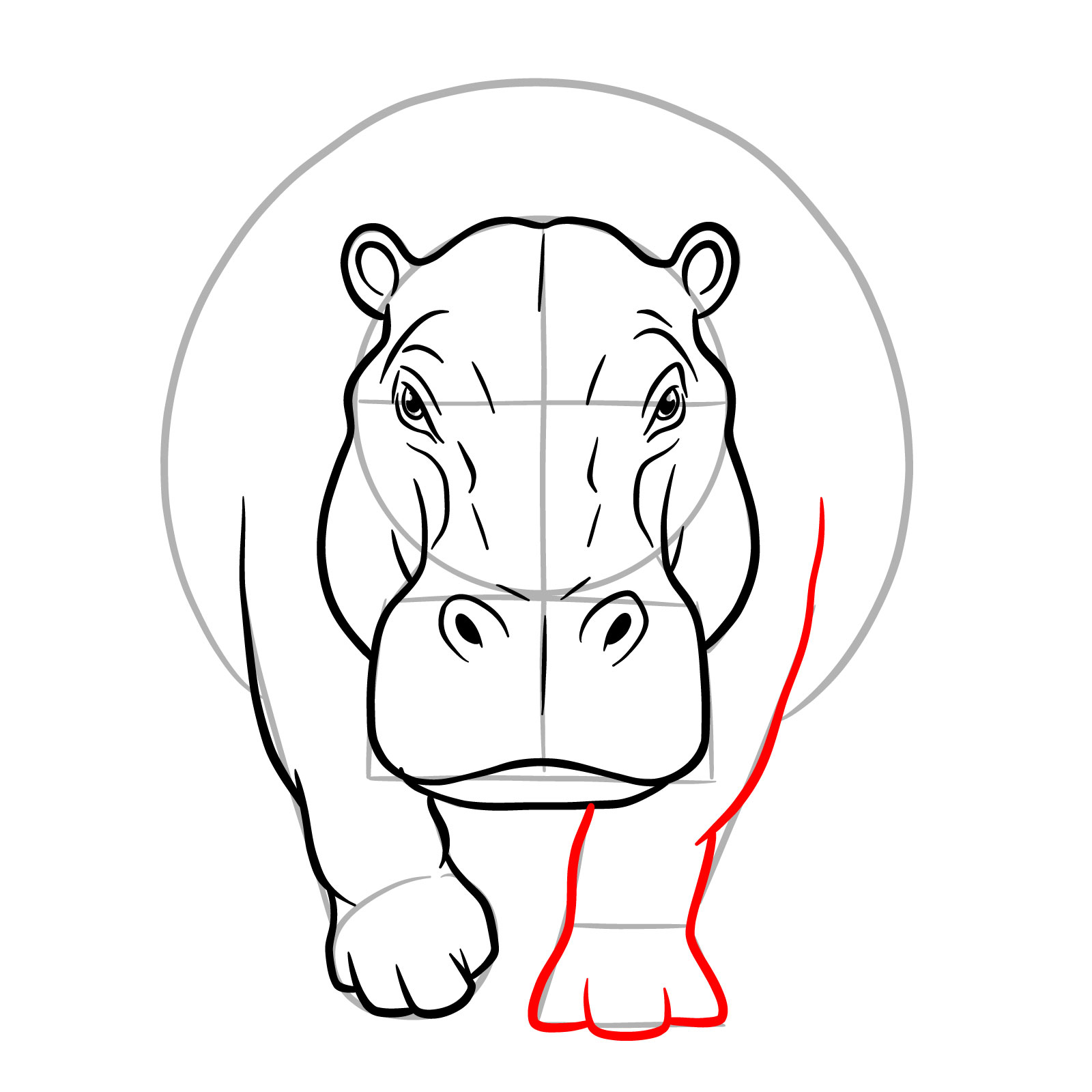 How to Draw a Hippo Full Body Front View - step 13