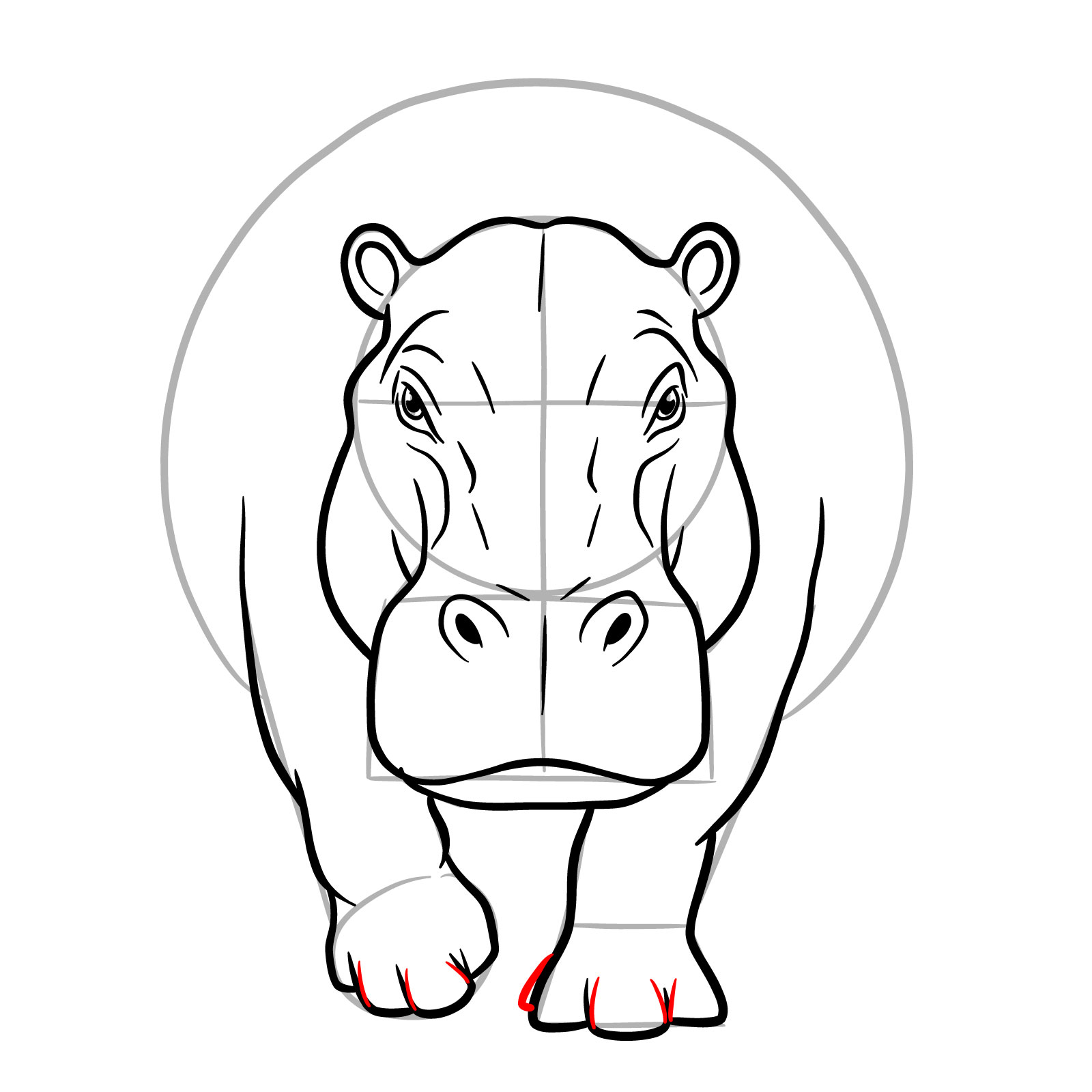How to Draw a Hippo Full Body Front View - step 14