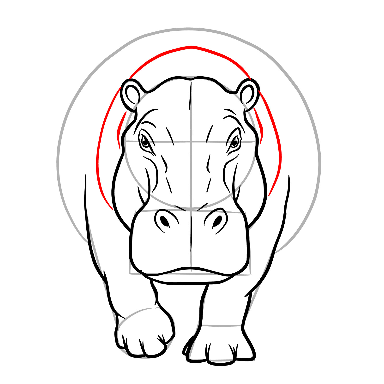 How to Draw a Hippo Full Body Front View - step 15