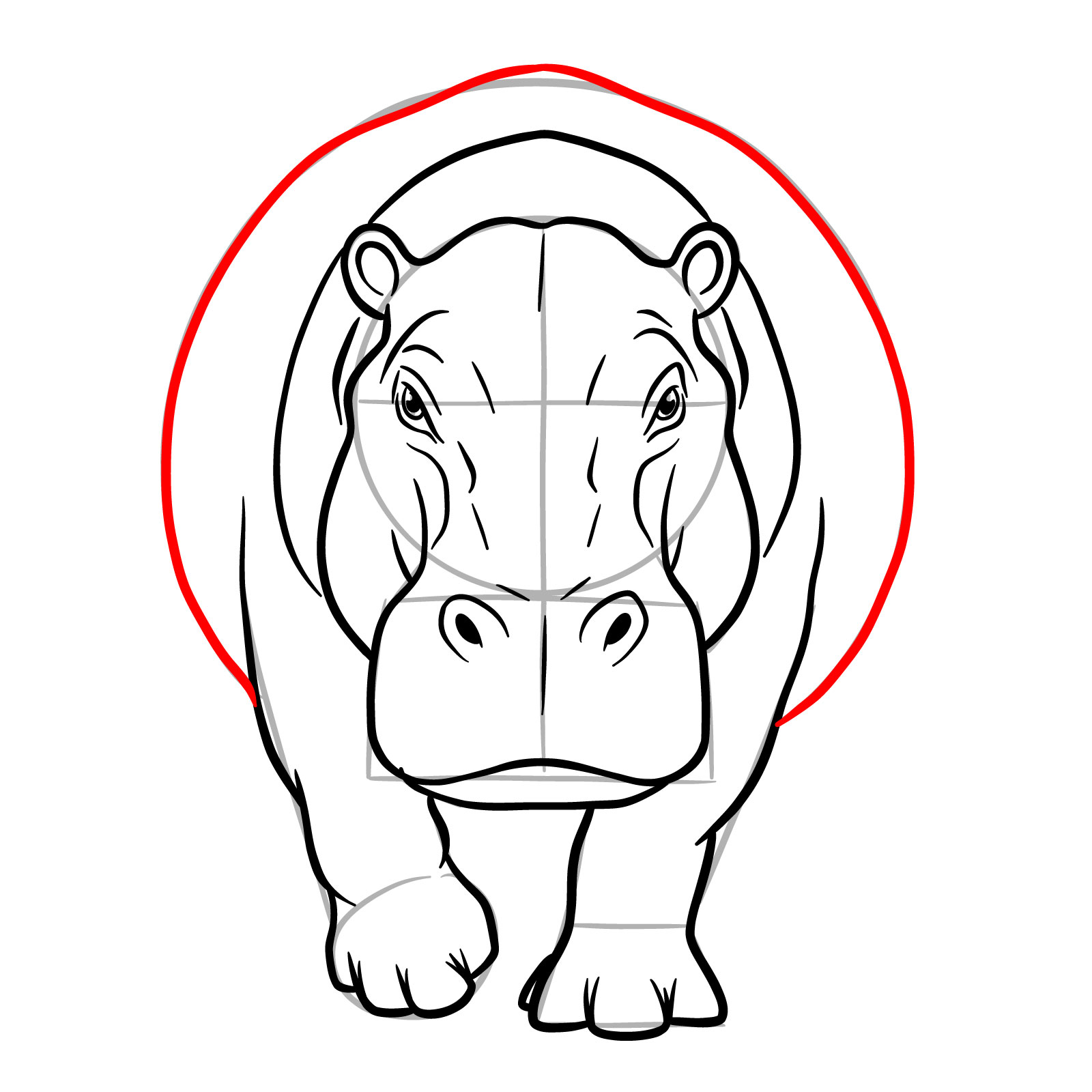 How to Draw a Hippo Full Body Front View - step 16