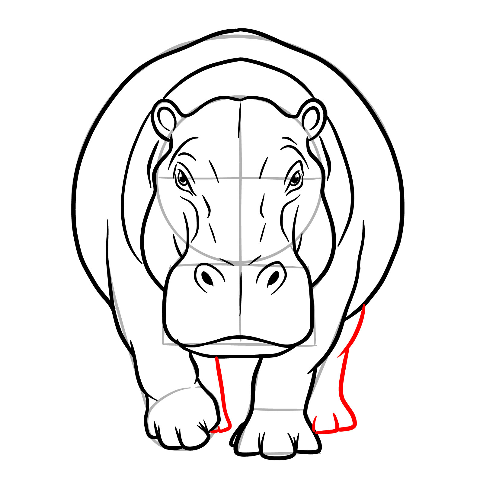 How to Draw a Hippo Full Body Front View - step 17