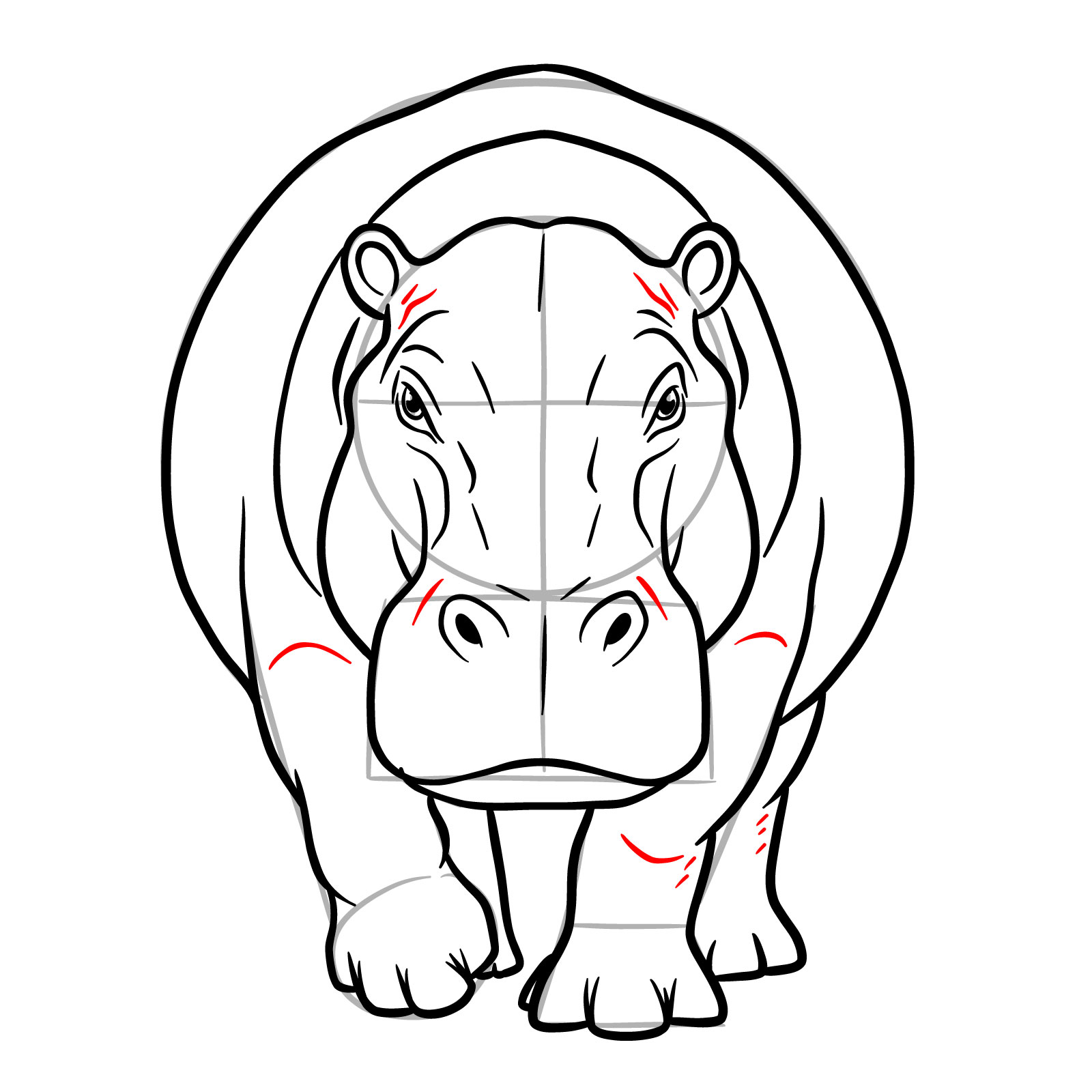 How to Draw a Hippo Full Body Front View - step 18