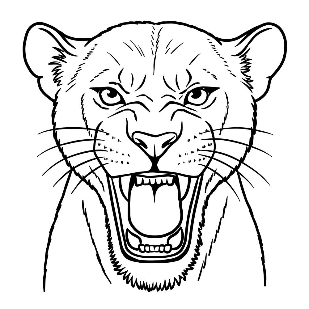 How to Draw a Roaring Lioness Face: Front View Detailed Tutorial