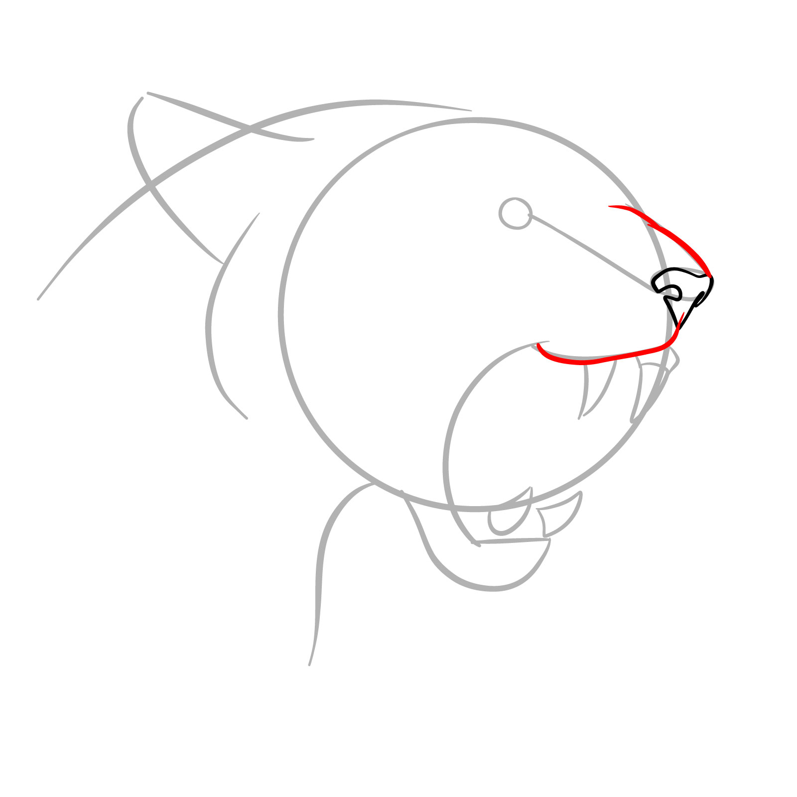 How to Draw a Roaring Cougar - step 05