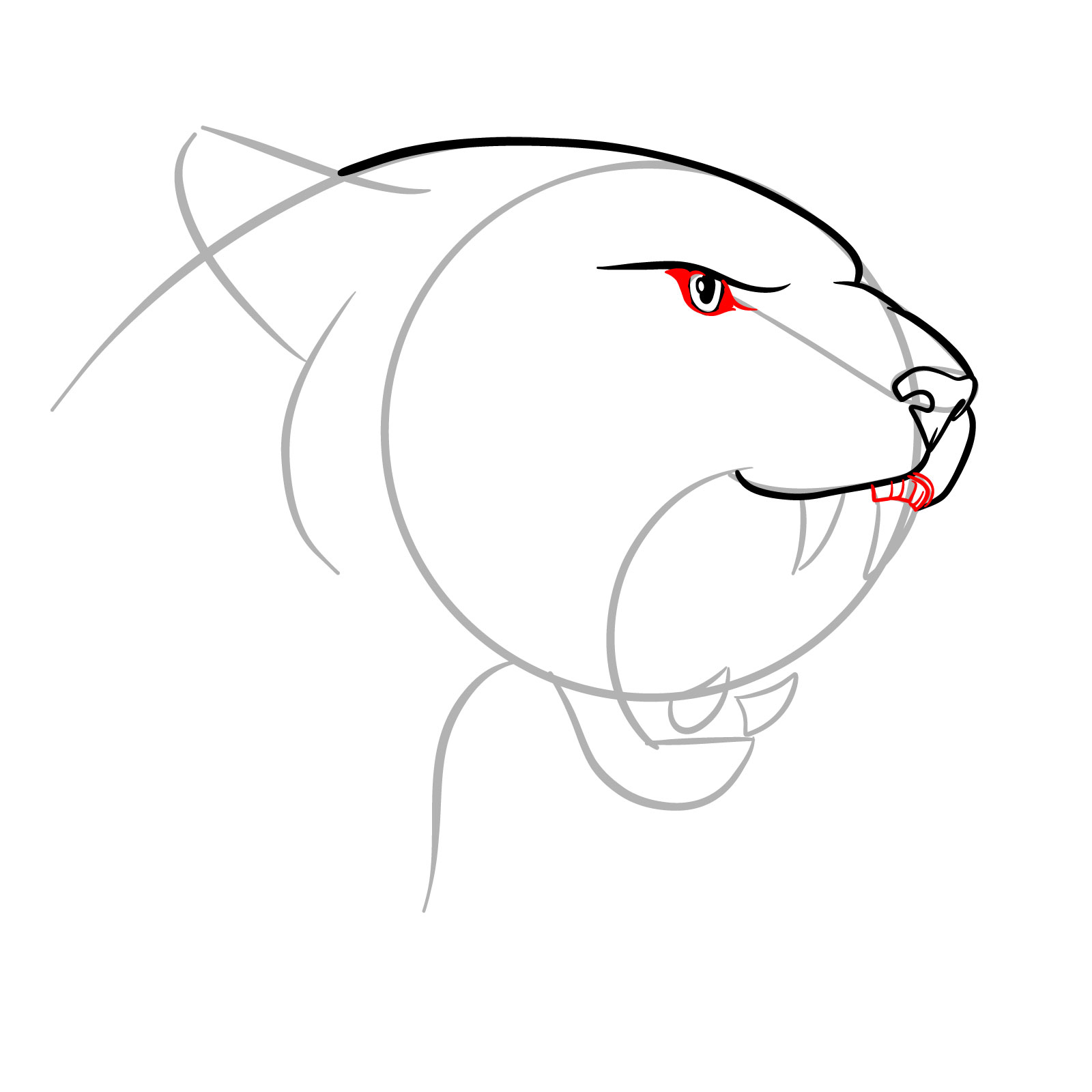 How to Draw a Roaring Cougar - step 08