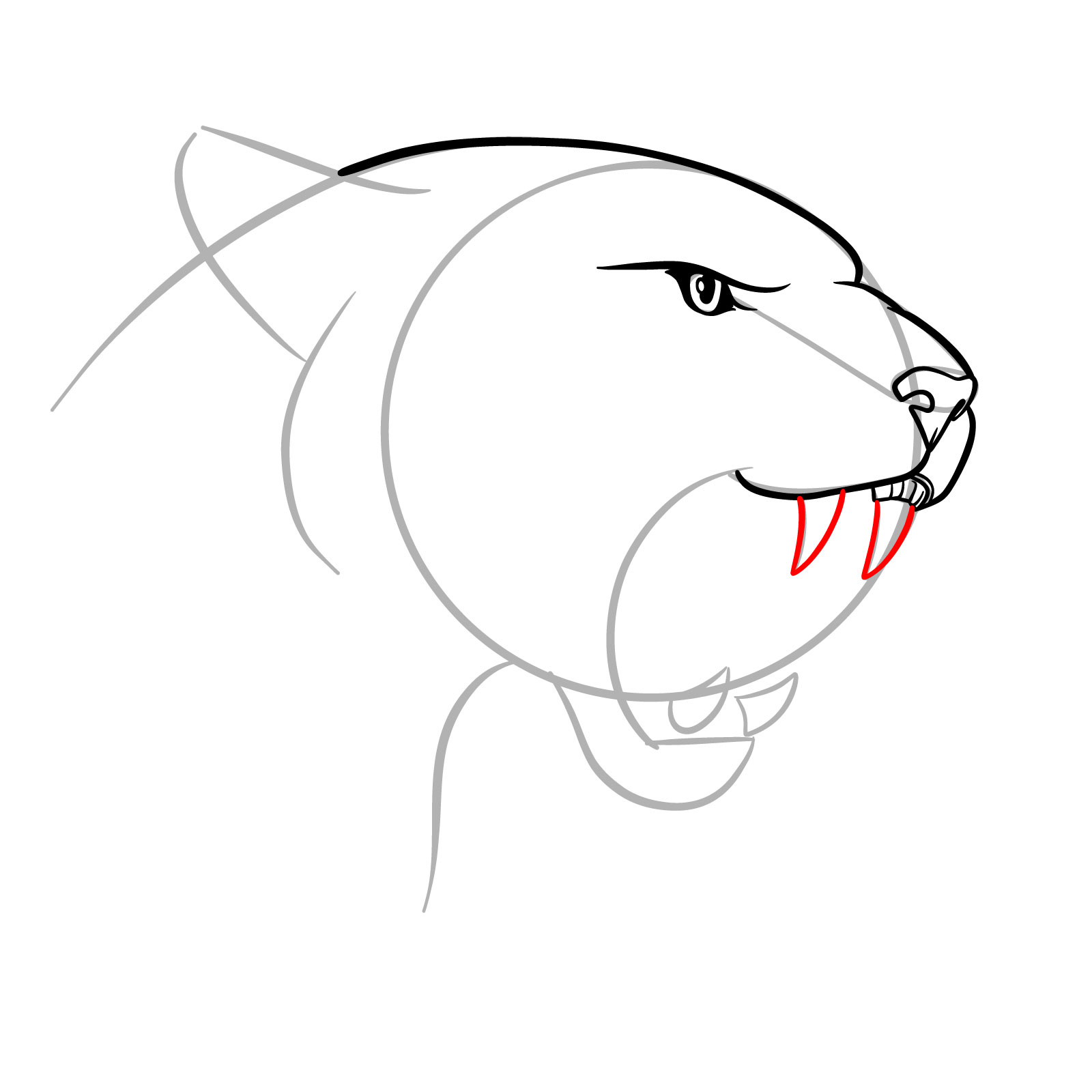 How to Draw a Roaring Cougar - step 09