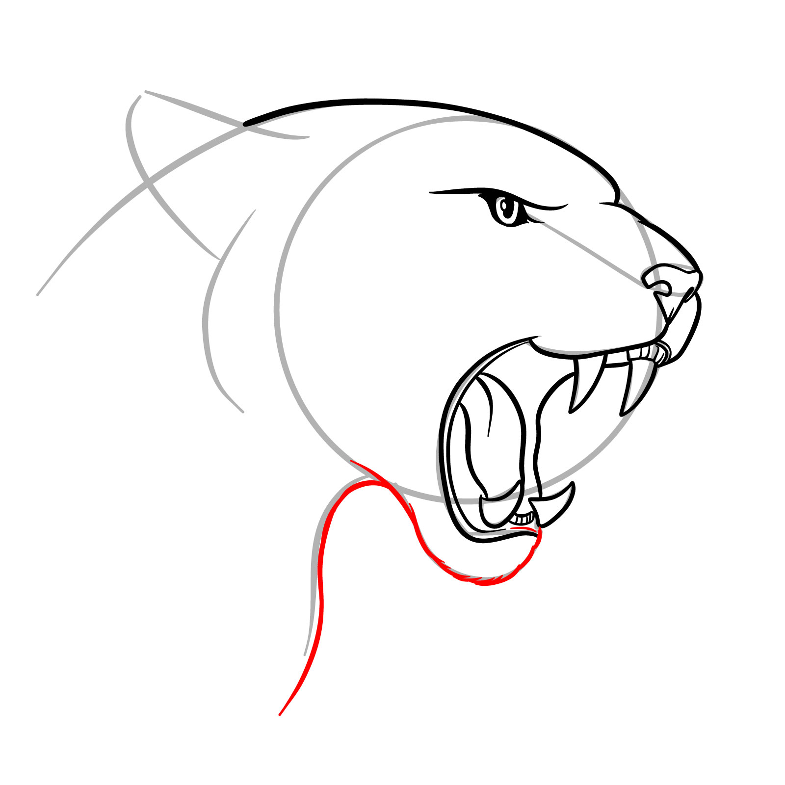 How to Draw a Roaring Cougar - step 12