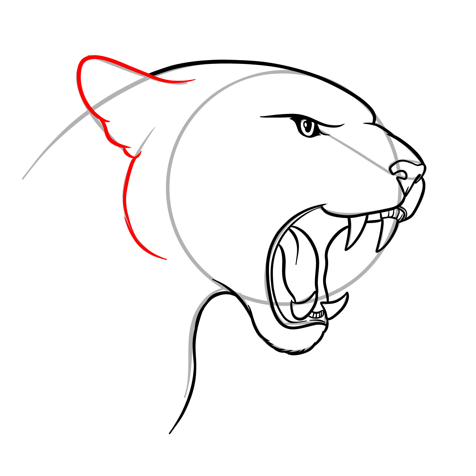 How to Draw a Roaring Cougar - step 13