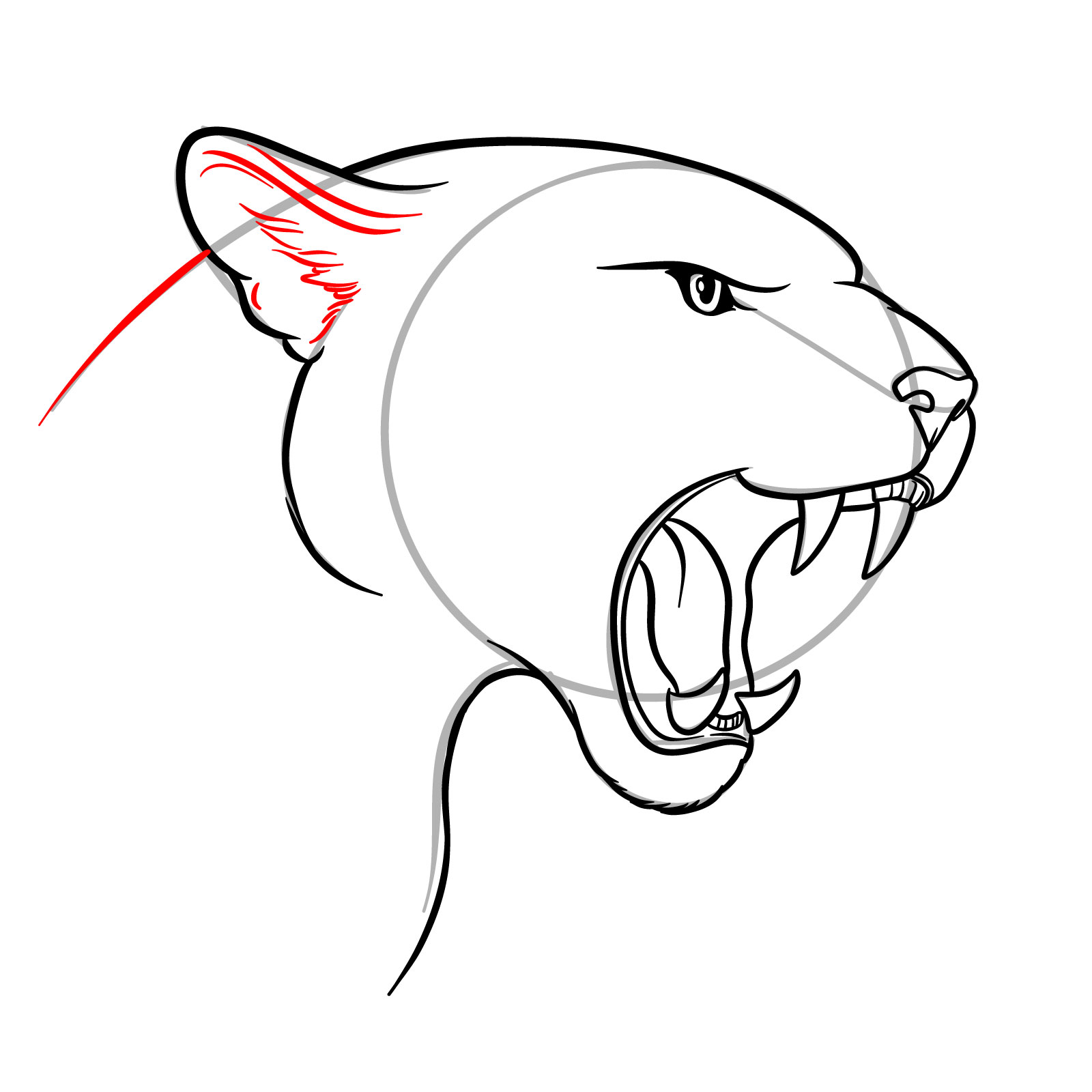 How to Draw a Roaring Cougar - step 14