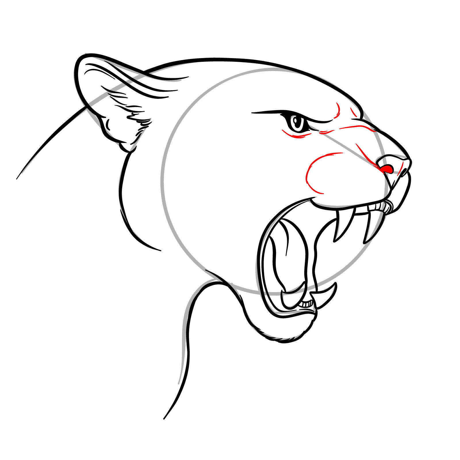 How to Draw a Roaring Cougar - step 15
