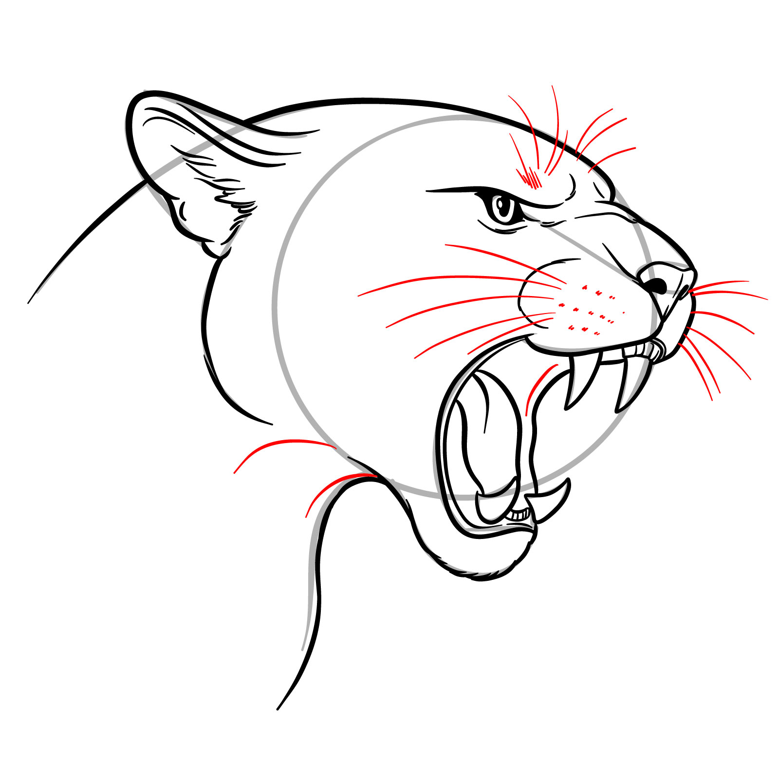 How to Draw a Roaring Cougar - step 16