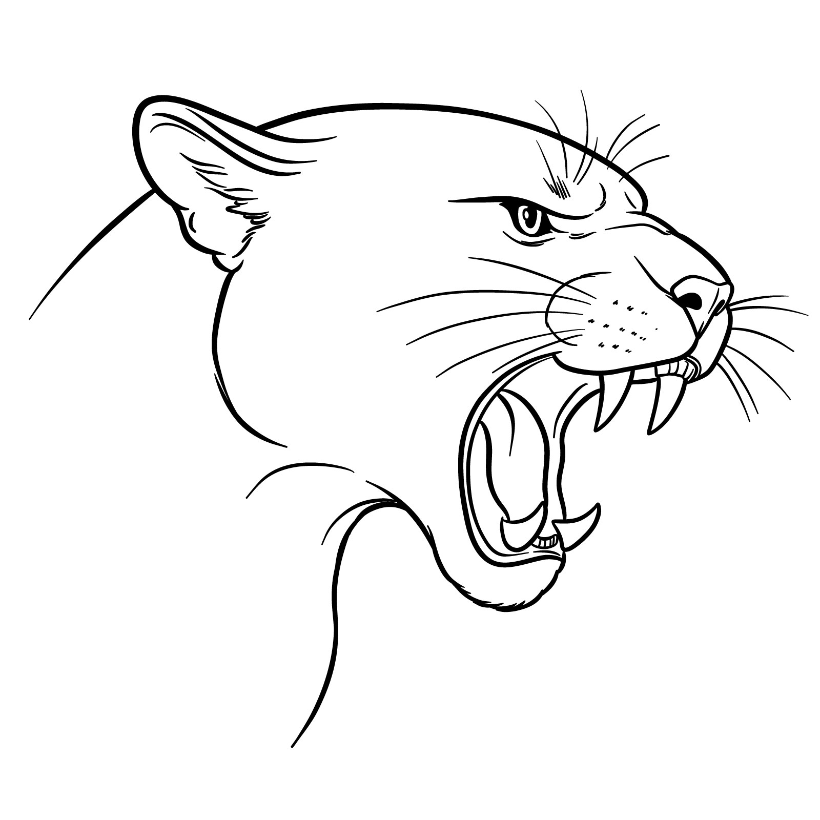 How to Draw a Roaring Cougar - final step