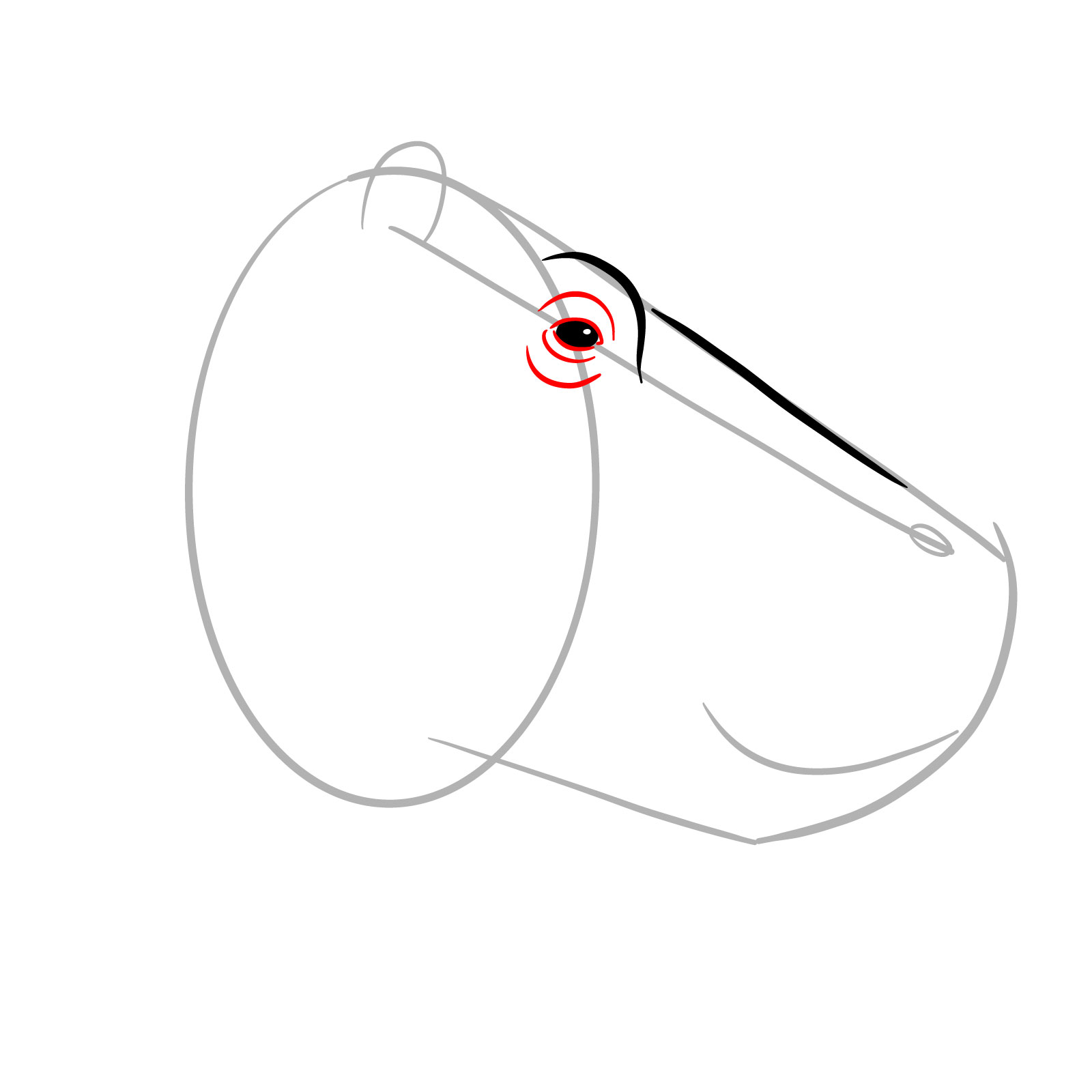 How to Draw a Hippo's Head in Profile - step 05