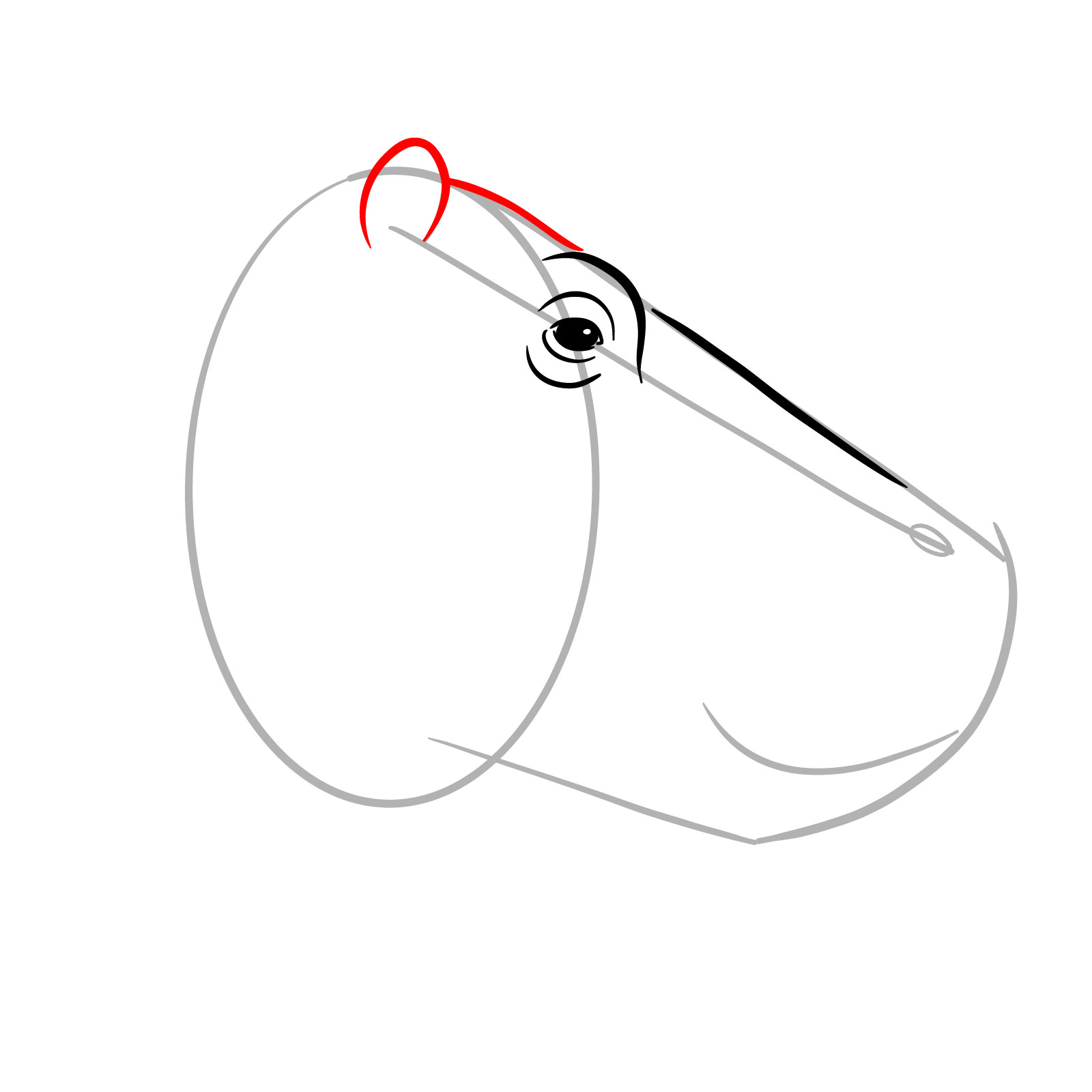 How to Draw a Hippo's Head in Profile - step 06