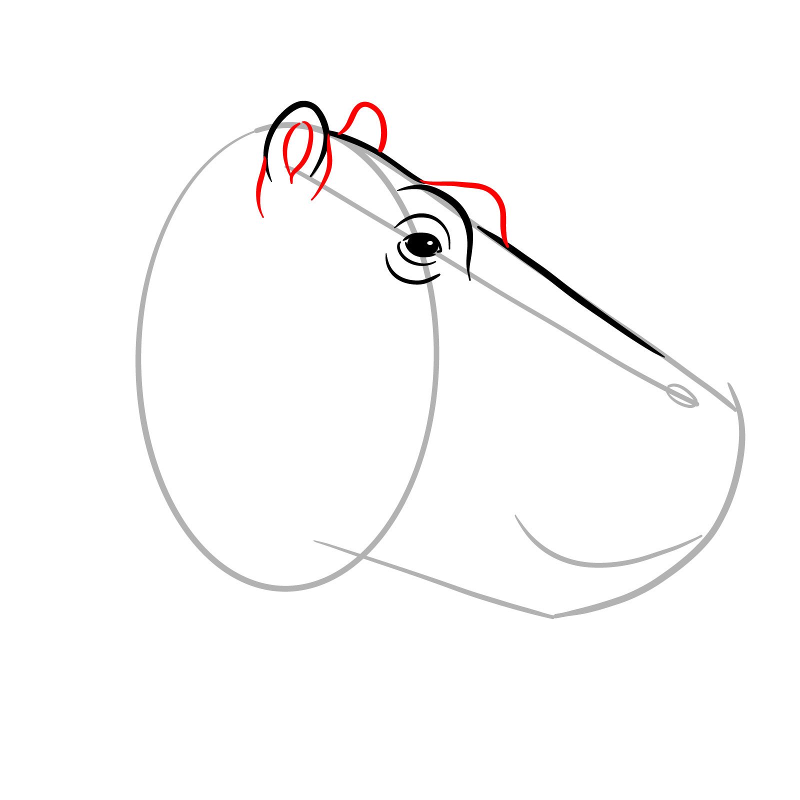 How to Draw a Hippo's Head in Profile - step 07