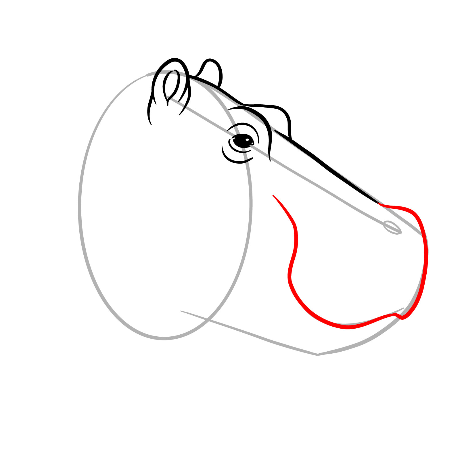 How to Draw a Hippo's Head in Profile - step 08