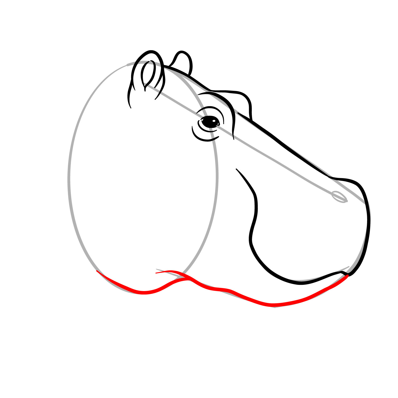 How to Draw a Hippo's Head in Profile - step 09