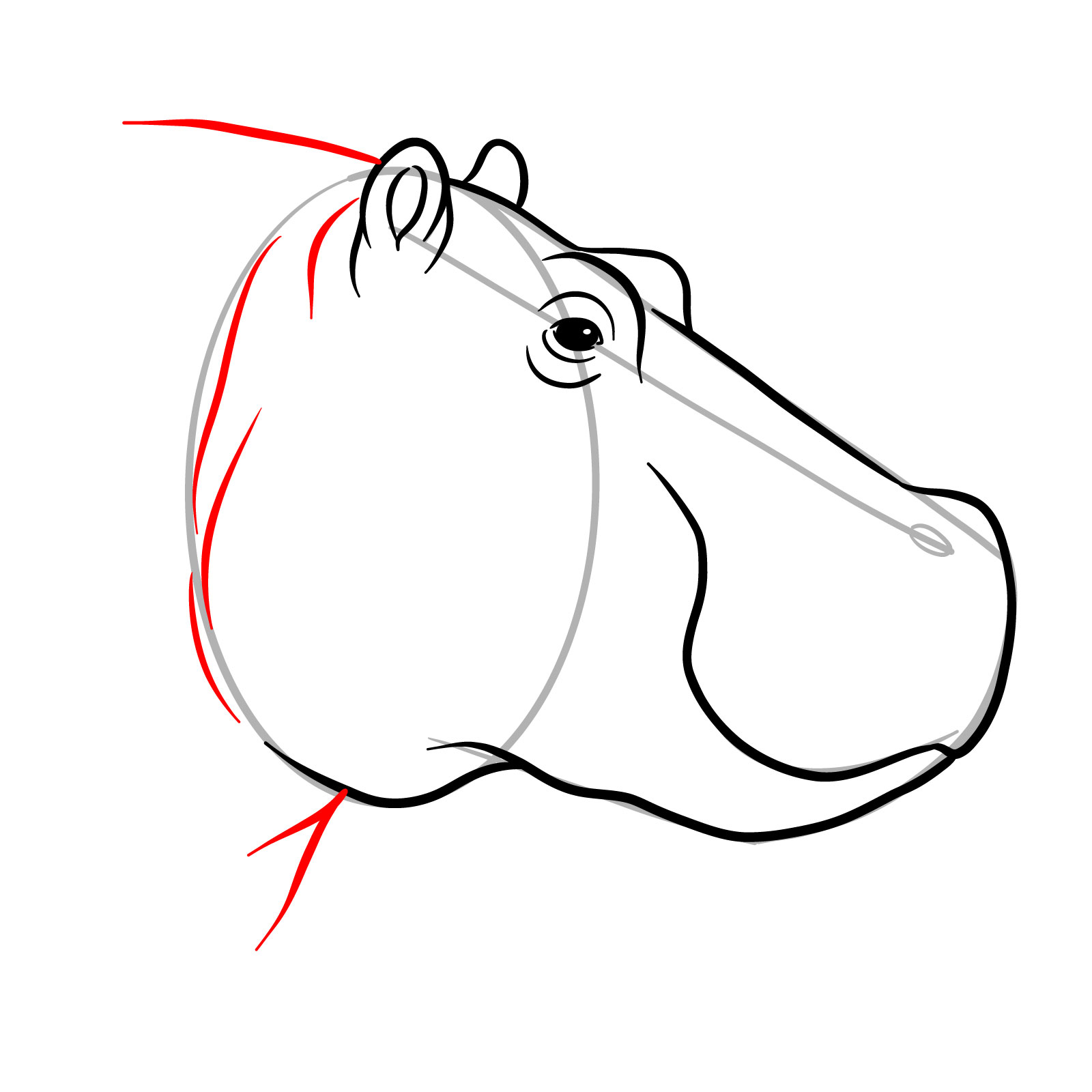 How to Draw a Hippo's Head in Profile - step 10