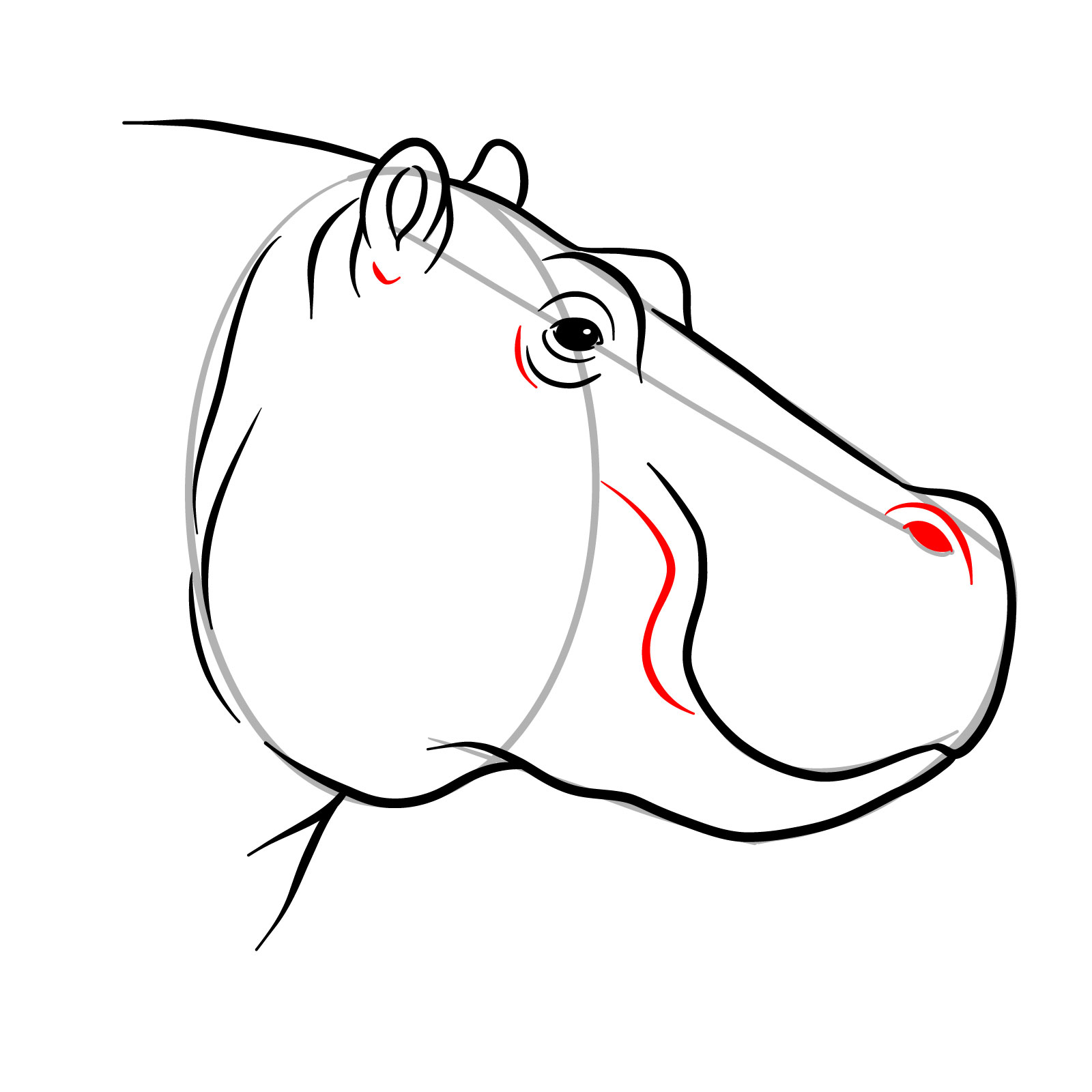 How to Draw a Hippo's Head in Profile - step 11