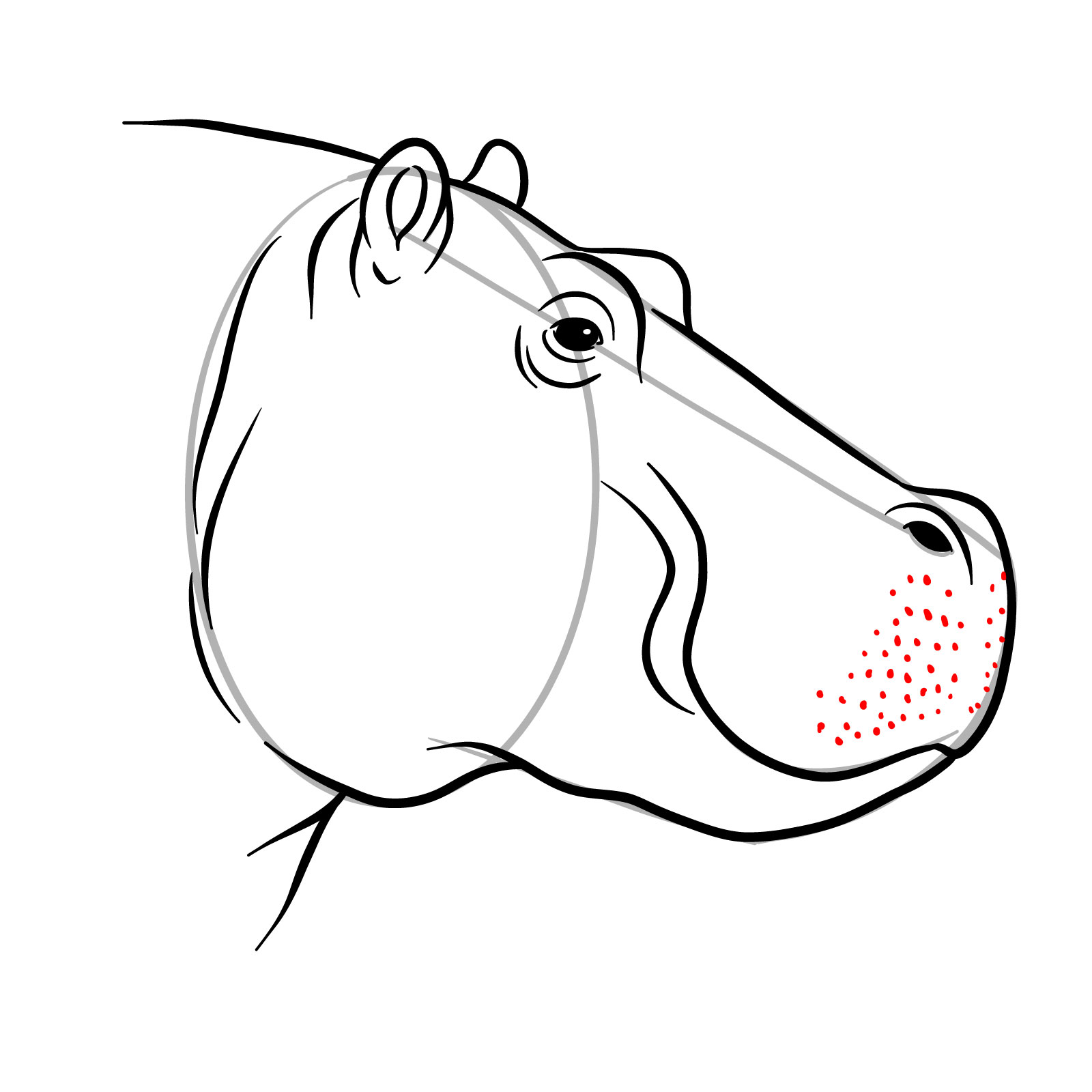 How to Draw a Hippo's Head in Profile - step 12
