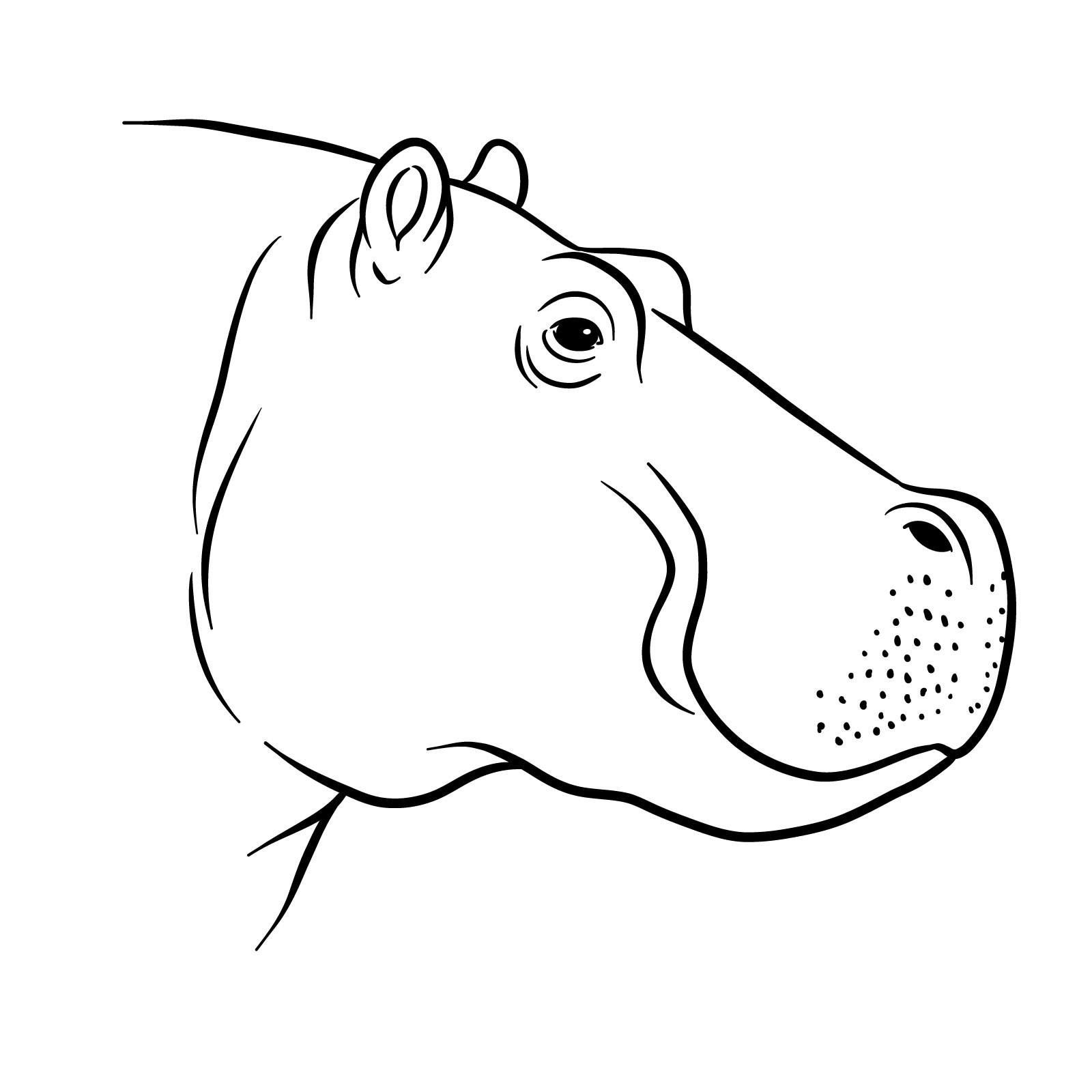How to Draw a Hippo's Head in Profile - final step