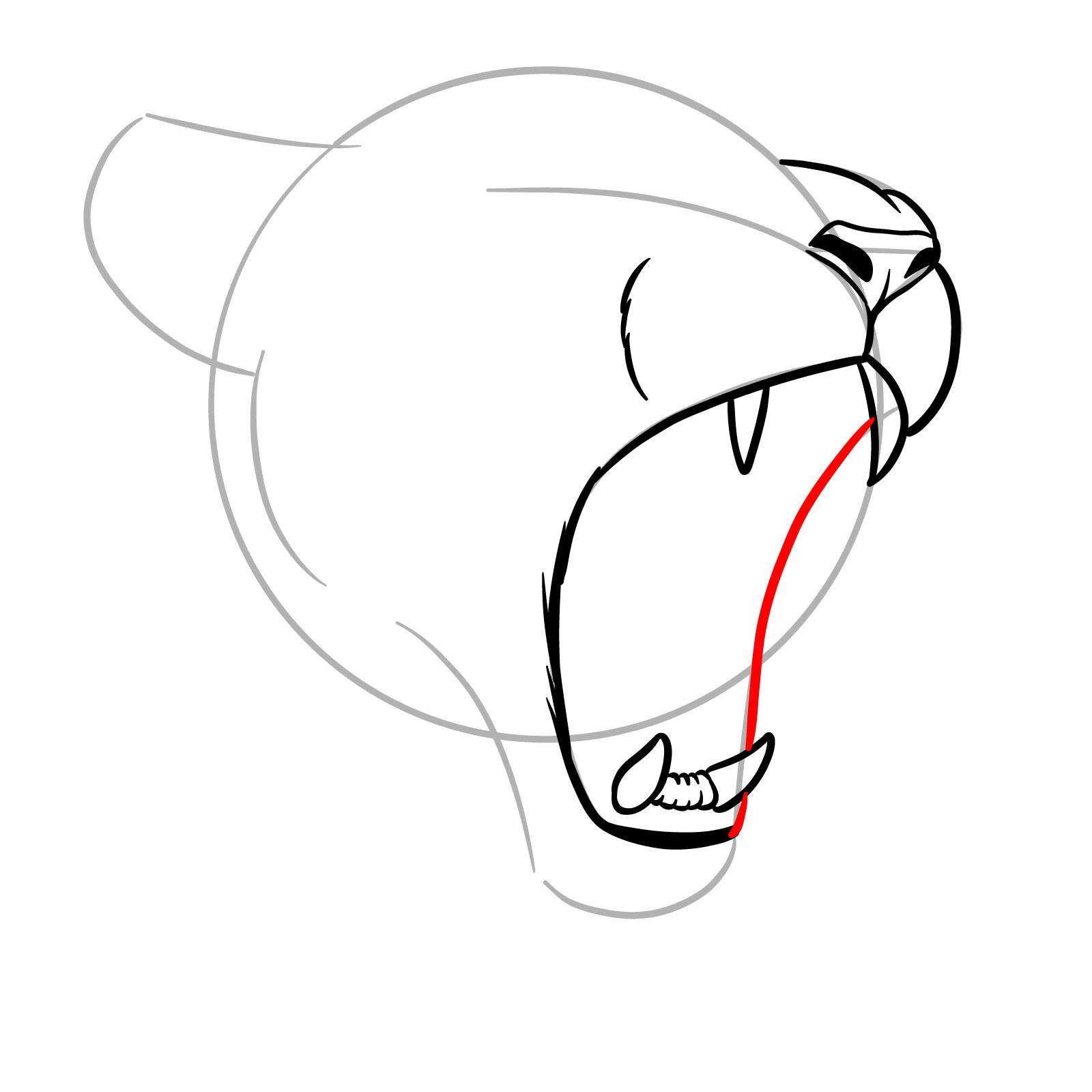How to Draw a Lioness Yawning - step 07