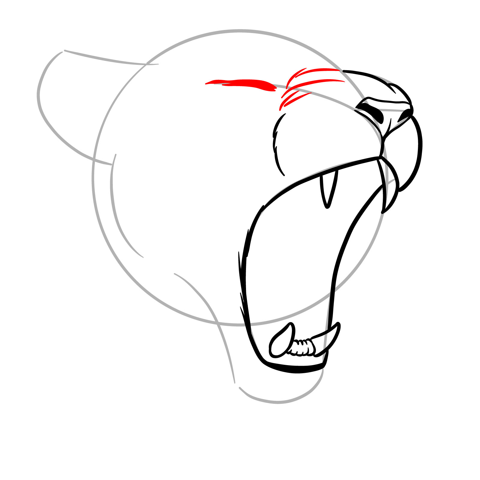 How to Draw a Lioness Yawning - step 08