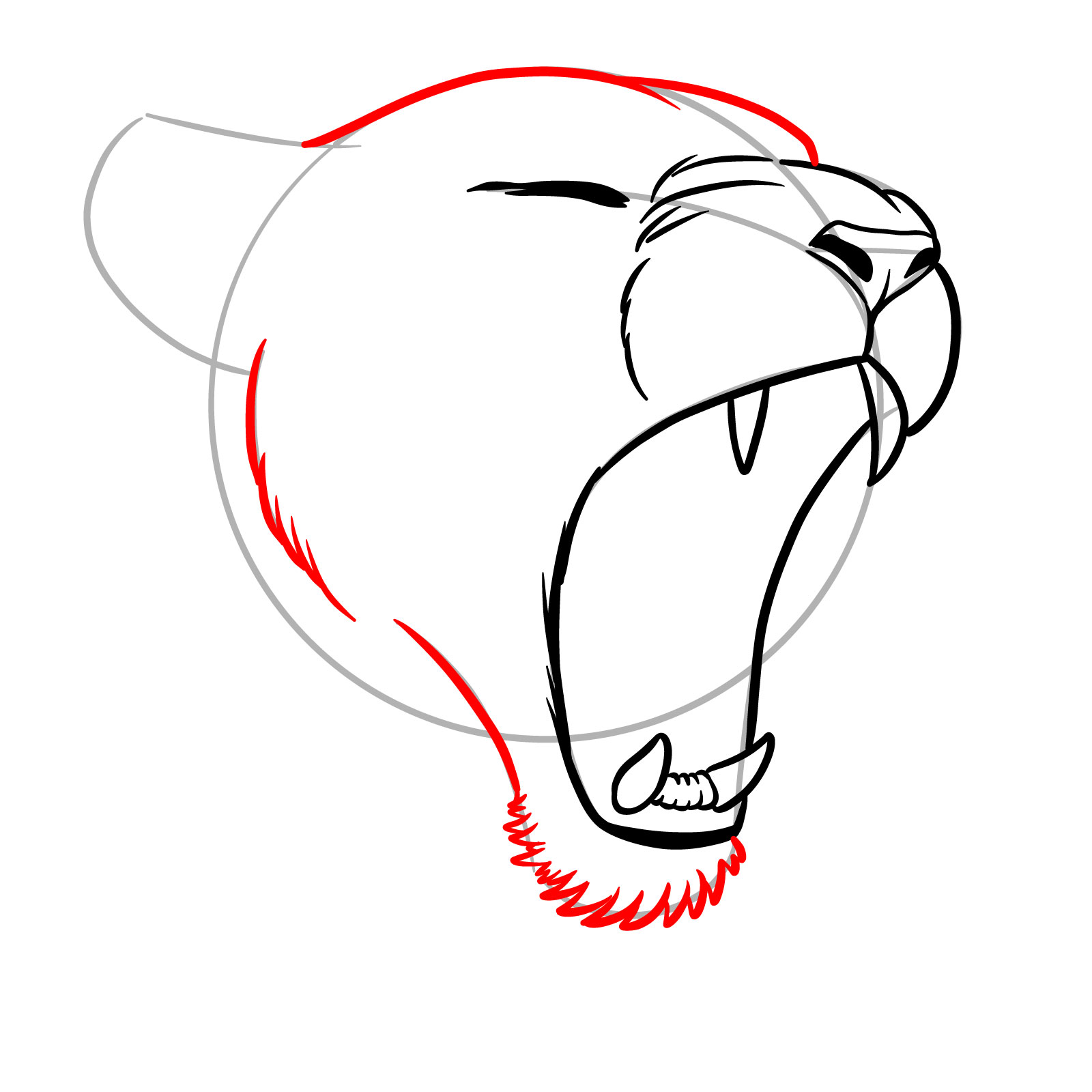 How to Draw a Lioness Yawning - step 09