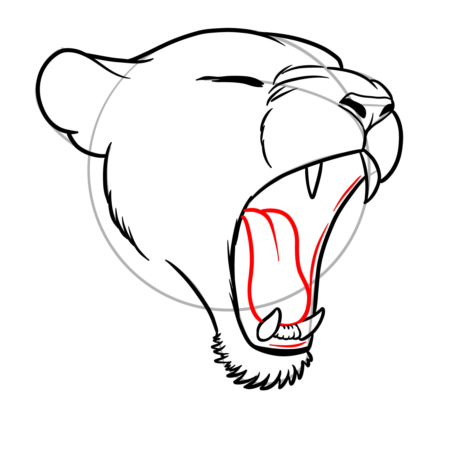 How to Draw a Lioness Yawning - step 11